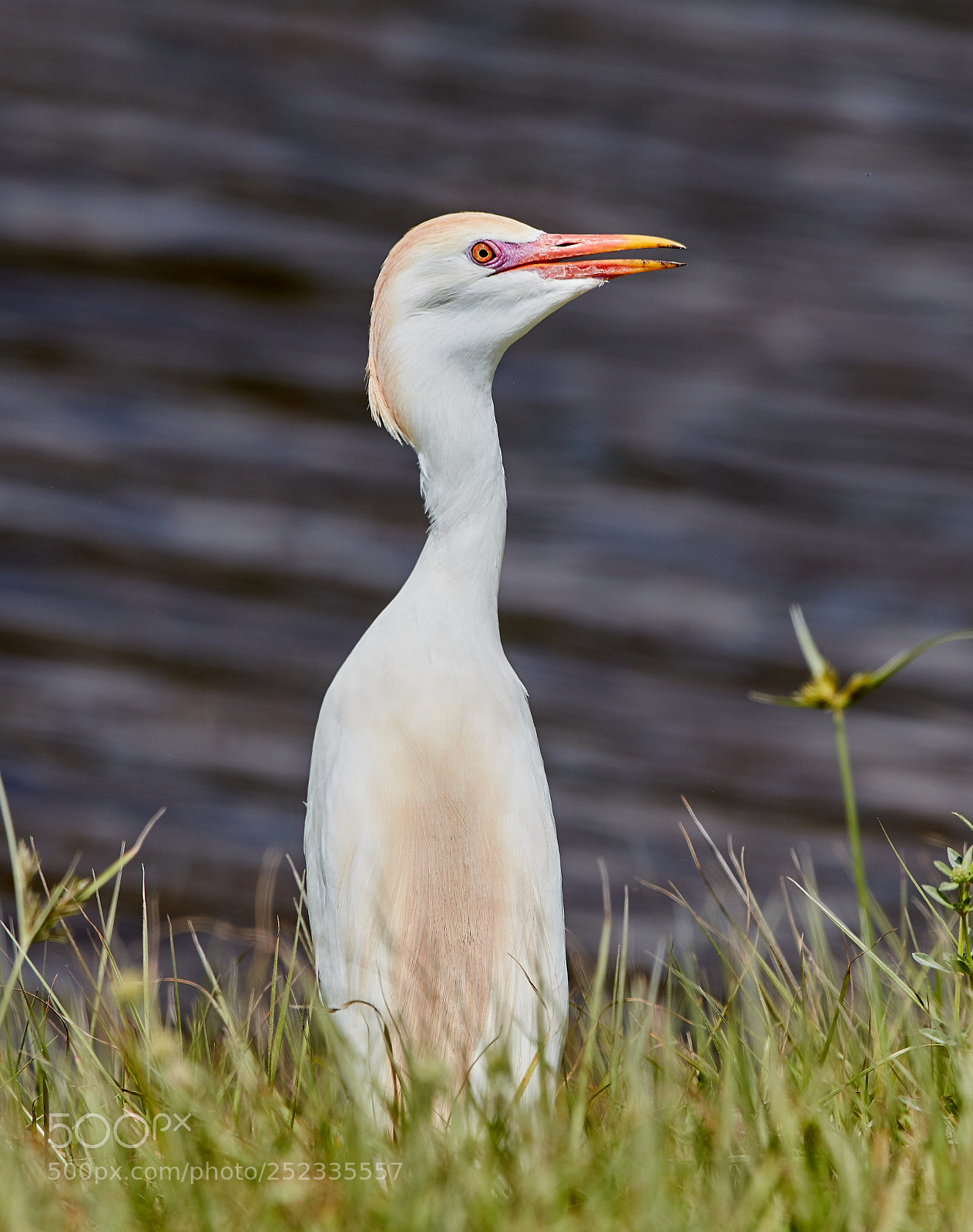 Canon EOS 5DS R sample photo. 04-05-18-0010675.jpg photography