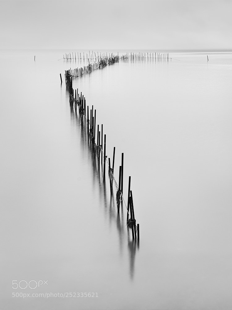 Nikon D810 sample photo. Fishing poles 3 photography