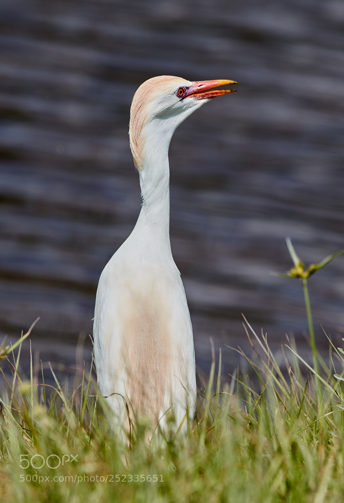Canon EOS 5DS R sample photo. 04-05-18-0010674.jpg photography