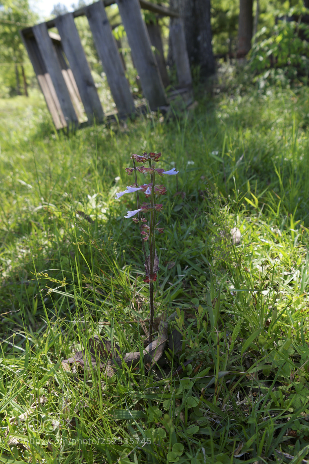 Samsung NX500 sample photo. Untitled photography