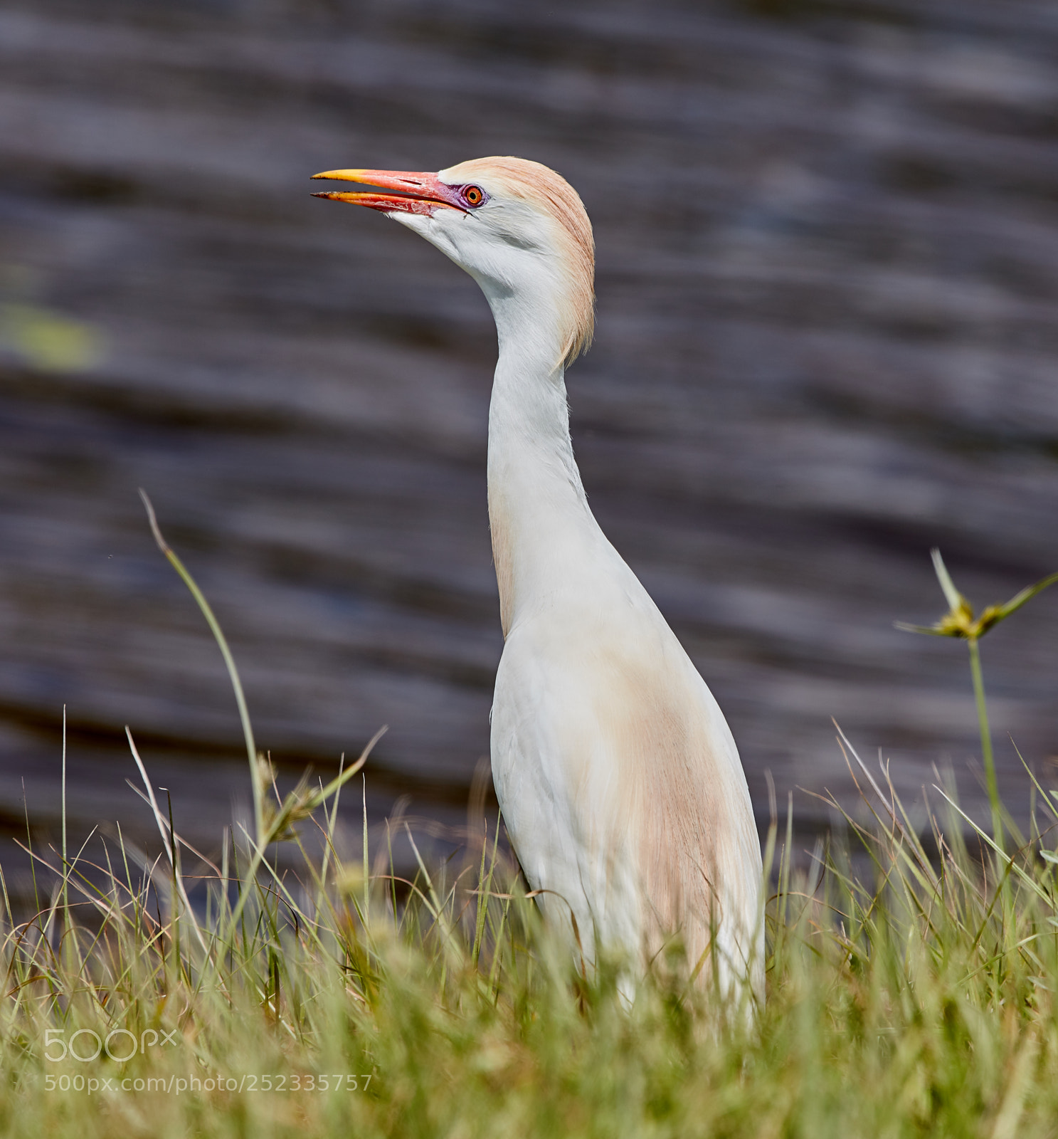 Canon EOS 5DS R sample photo. 04-05-18-0010672.jpg photography