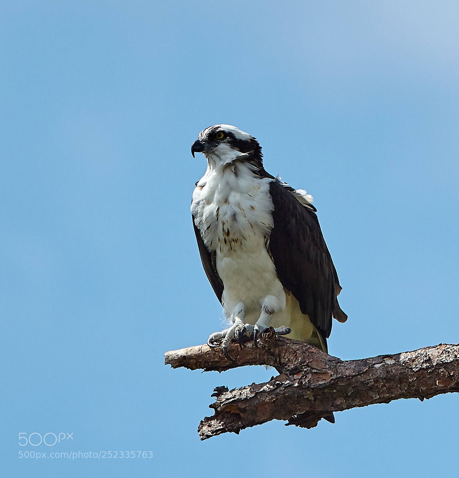 Canon EOS 5DS R sample photo. 04-05-18-0010689.jpg photography
