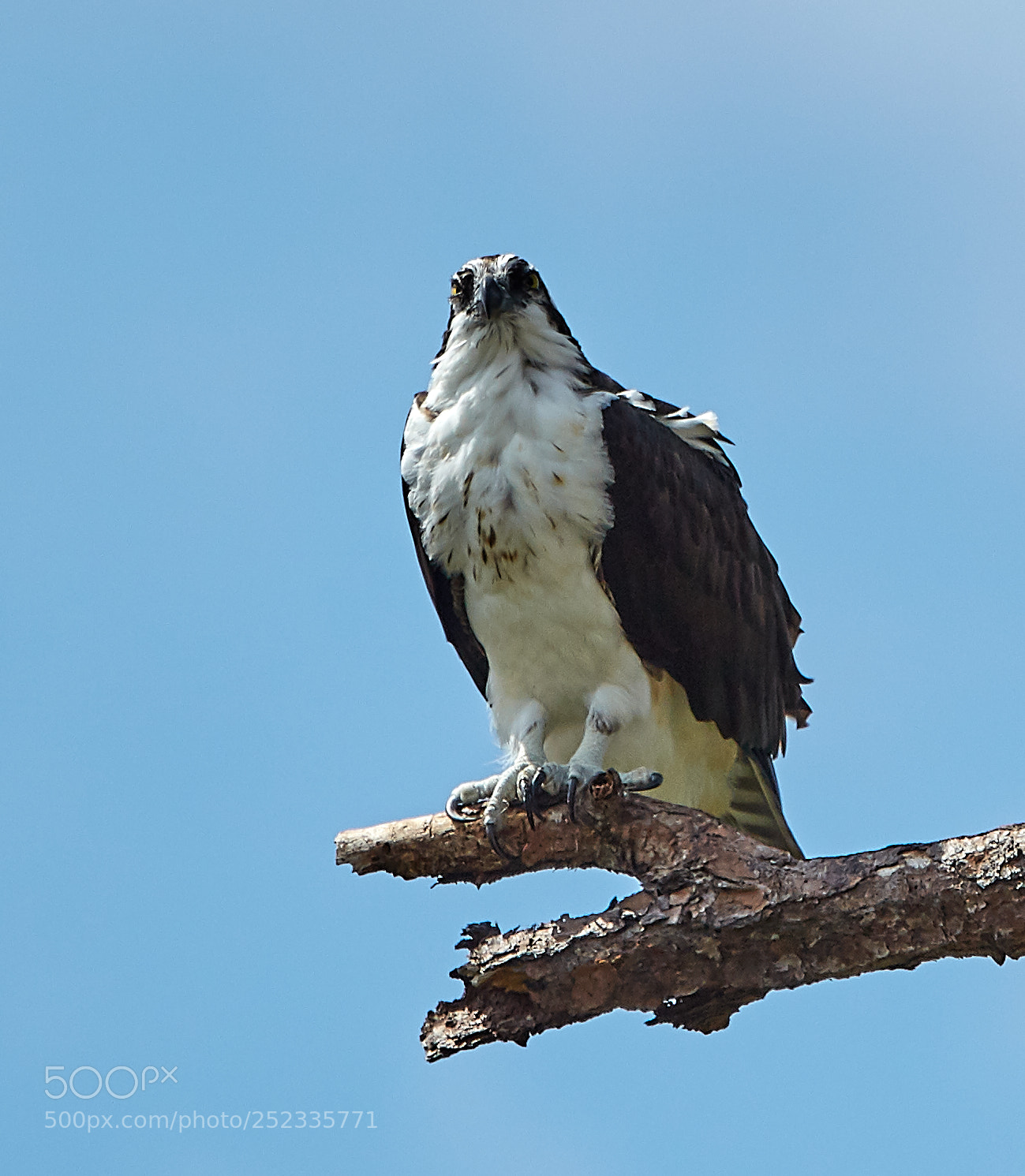 Canon EOS 5DS R sample photo. 04-05-18-0010687.jpg photography