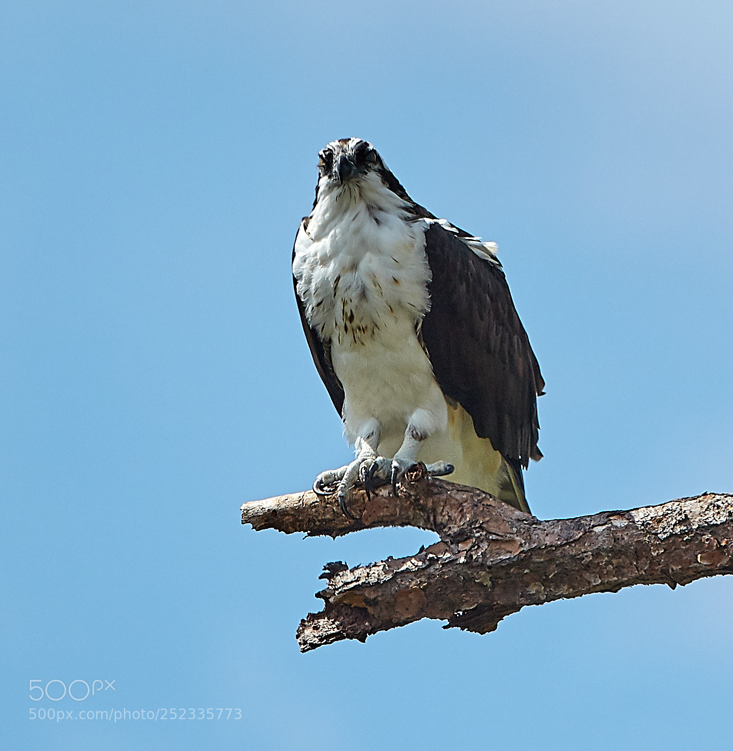 Canon EOS 5DS R sample photo. 04-05-18-0010686.jpg photography