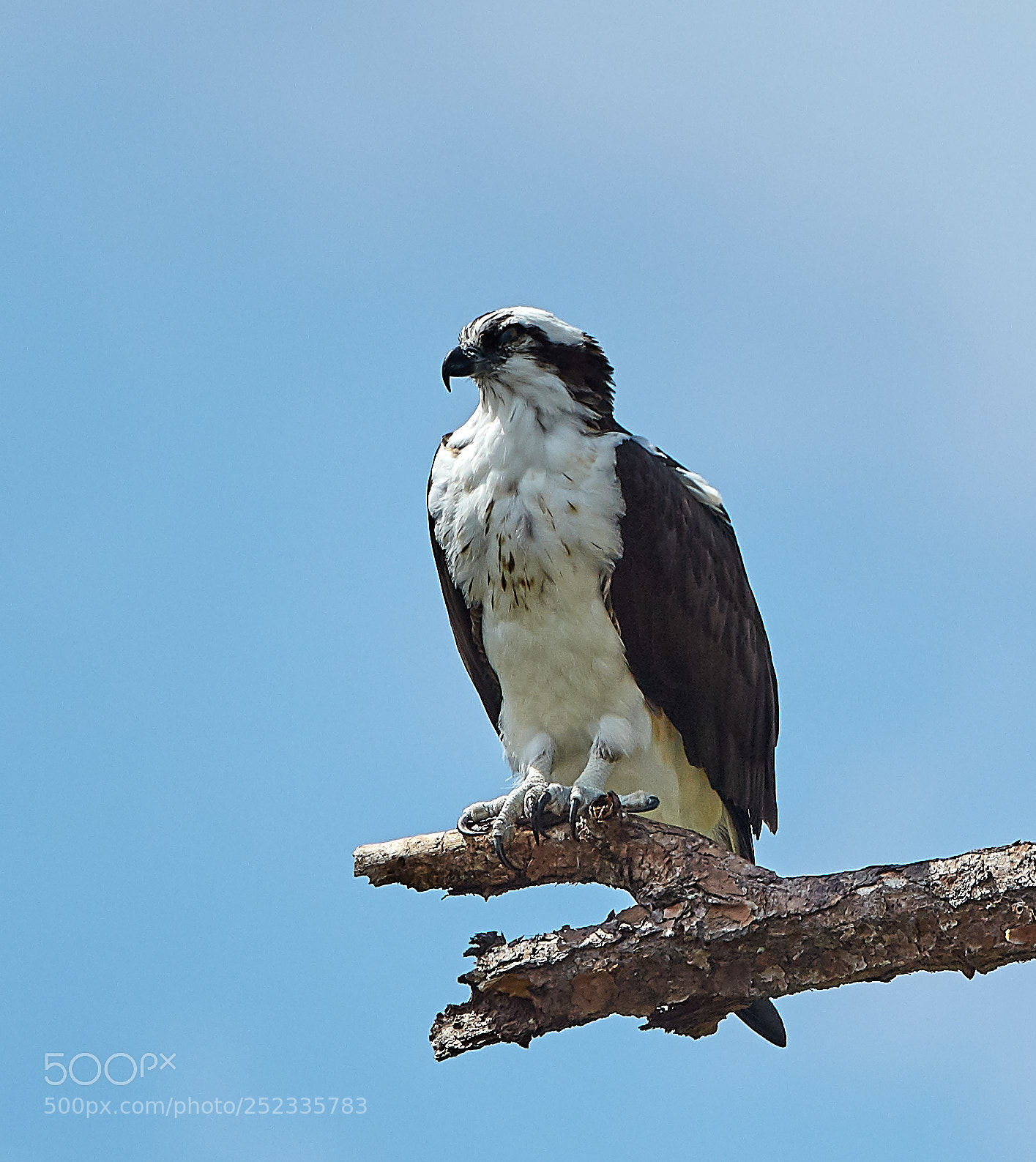 Canon EOS 5DS R sample photo. 04-05-18-0010684.jpg photography