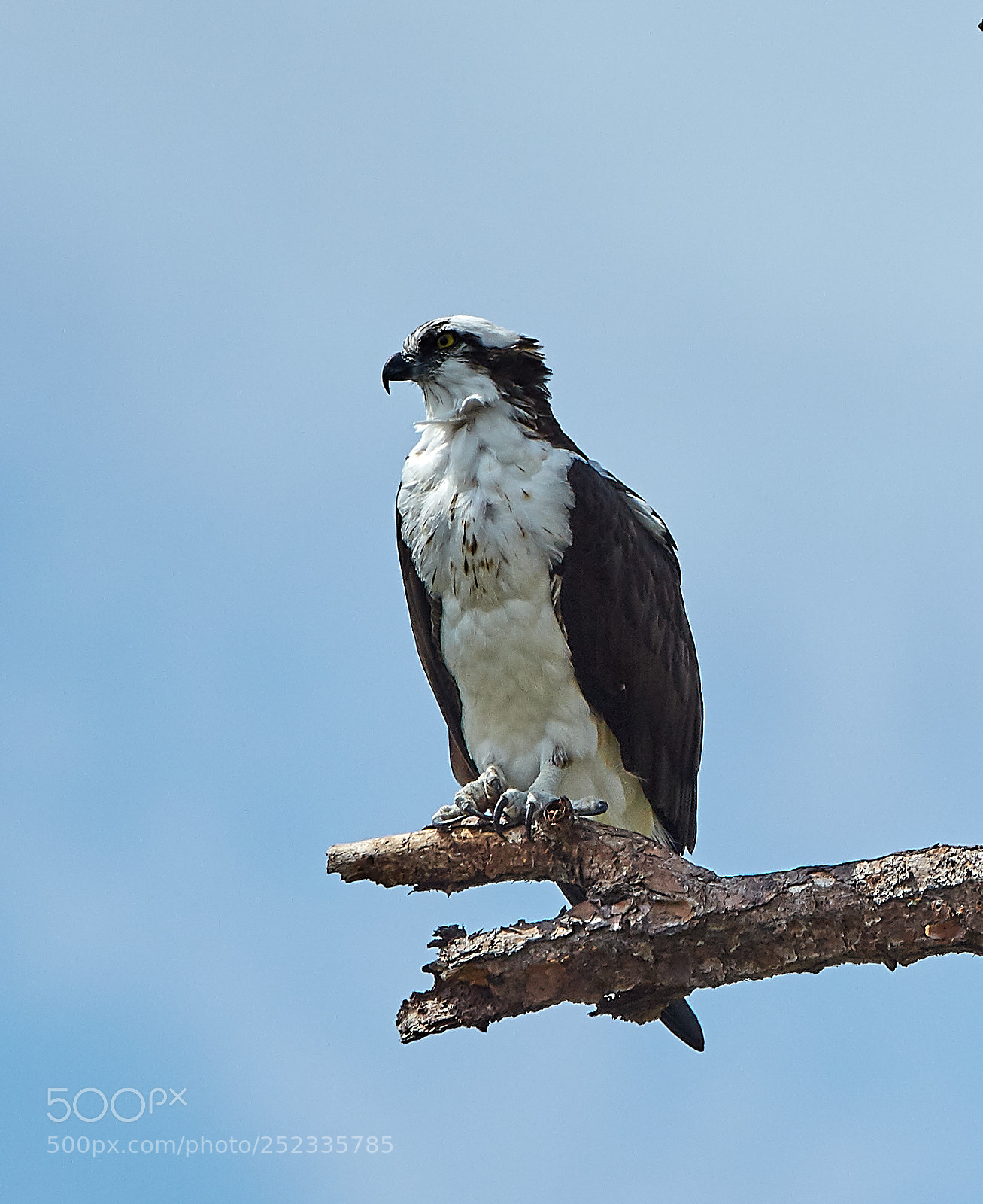Canon EOS 5DS R sample photo. 04-05-18-0010682.jpg photography
