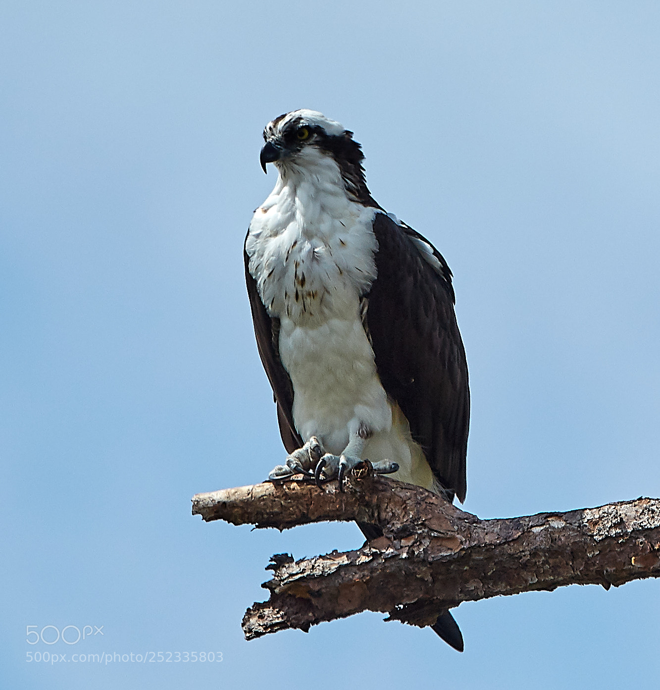 Canon EOS 5DS R sample photo. 04-05-18-0010680.jpg photography