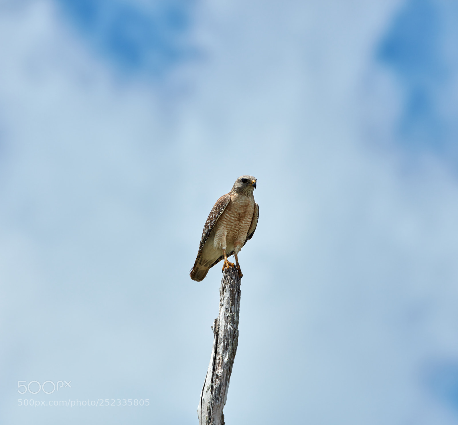 Canon EOS 5DS R sample photo. 04-05-18-0010678.jpg photography