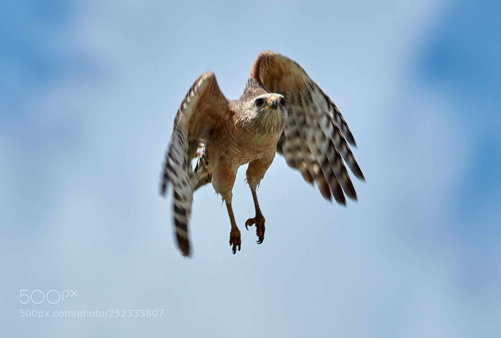 Canon EOS 5DS R sample photo. 04-05-18-0010677.jpg photography