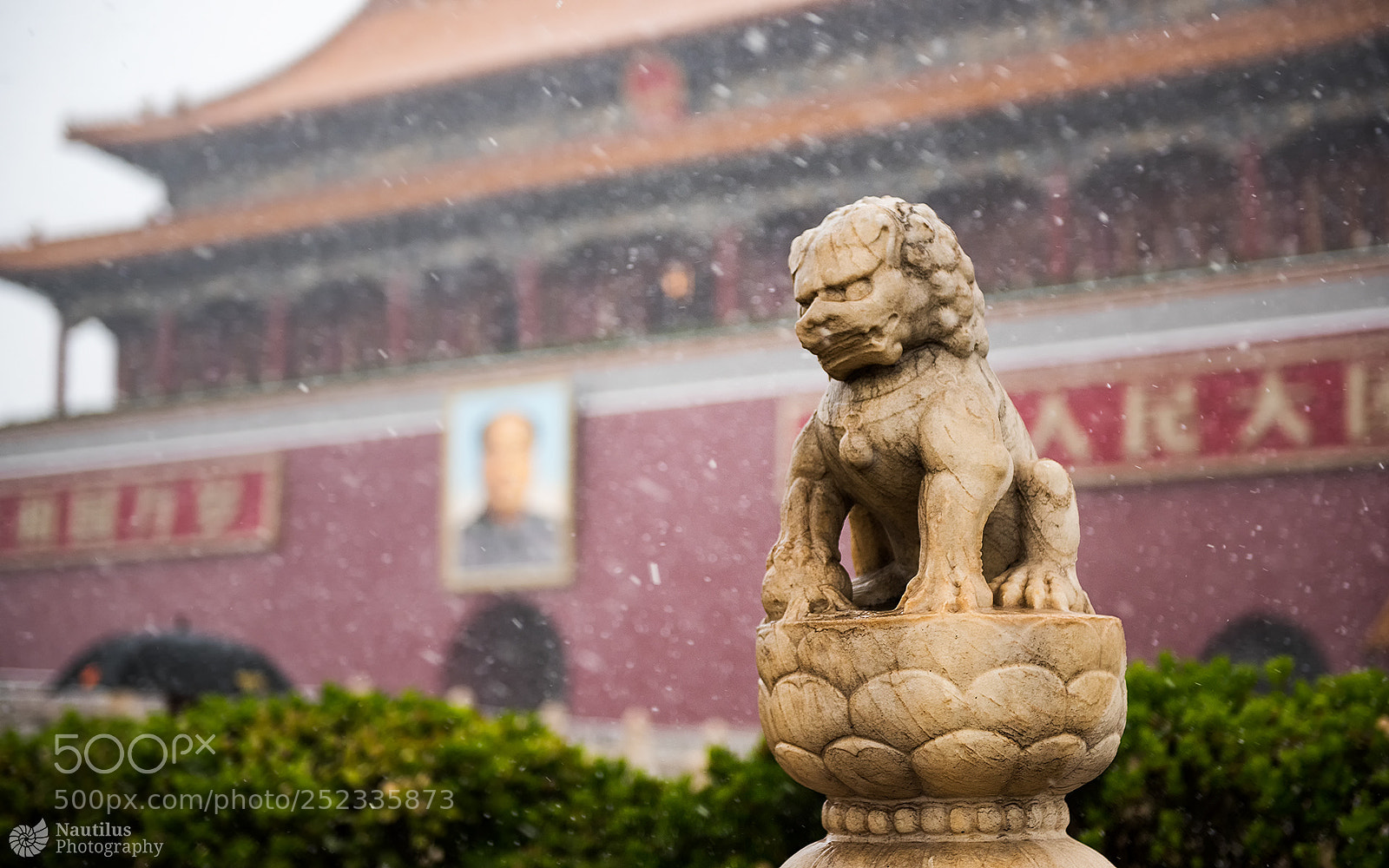 Nikon D810 sample photo. Spring snow in beijing photography