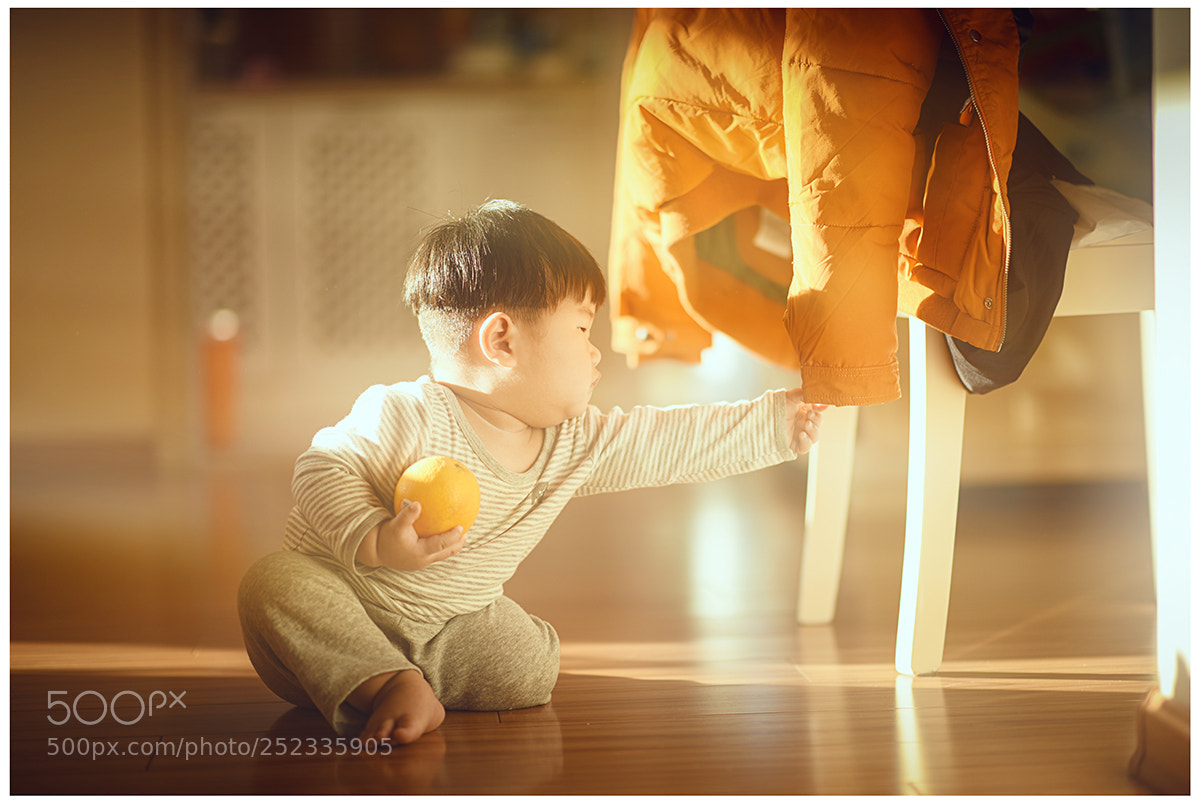 Nikon D810 sample photo. Untitled photography