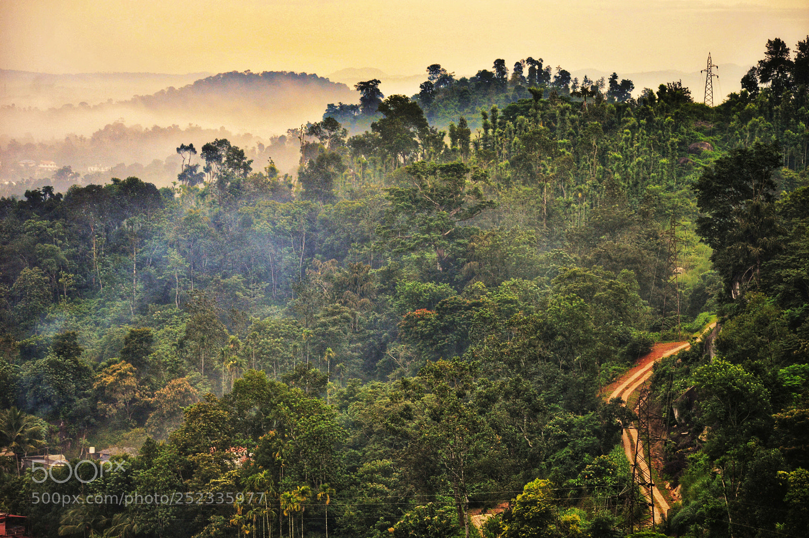 Nikon D3200 sample photo. Misty mornings photography