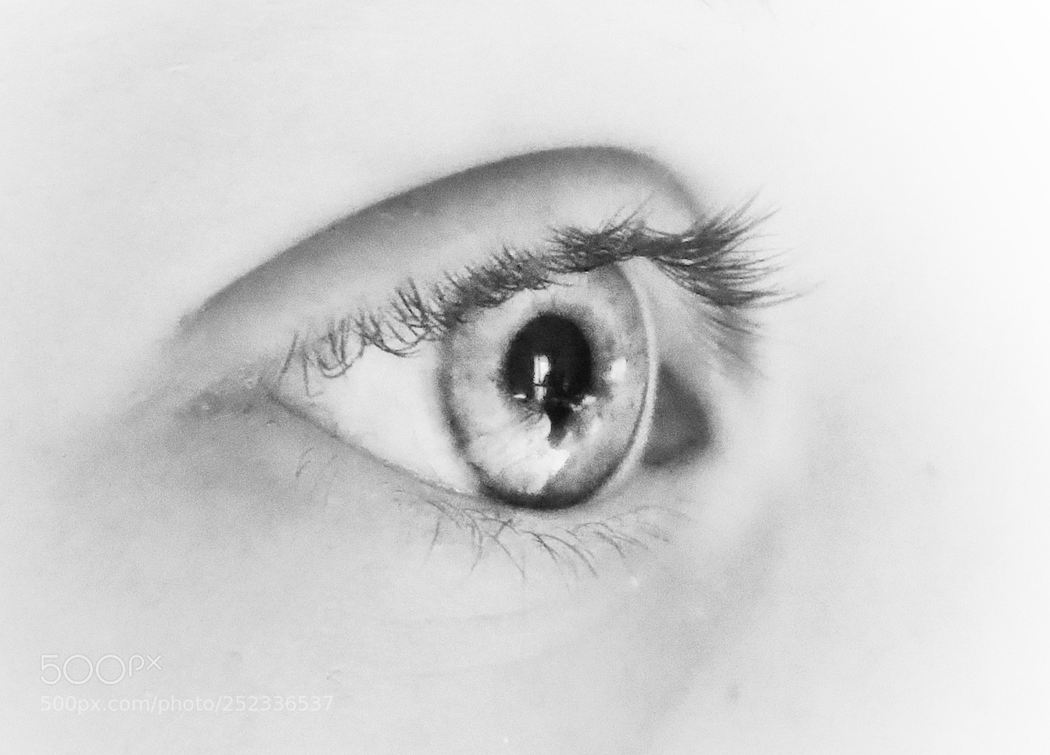 Olympus OM-D E-M10 III sample photo. Greta photography