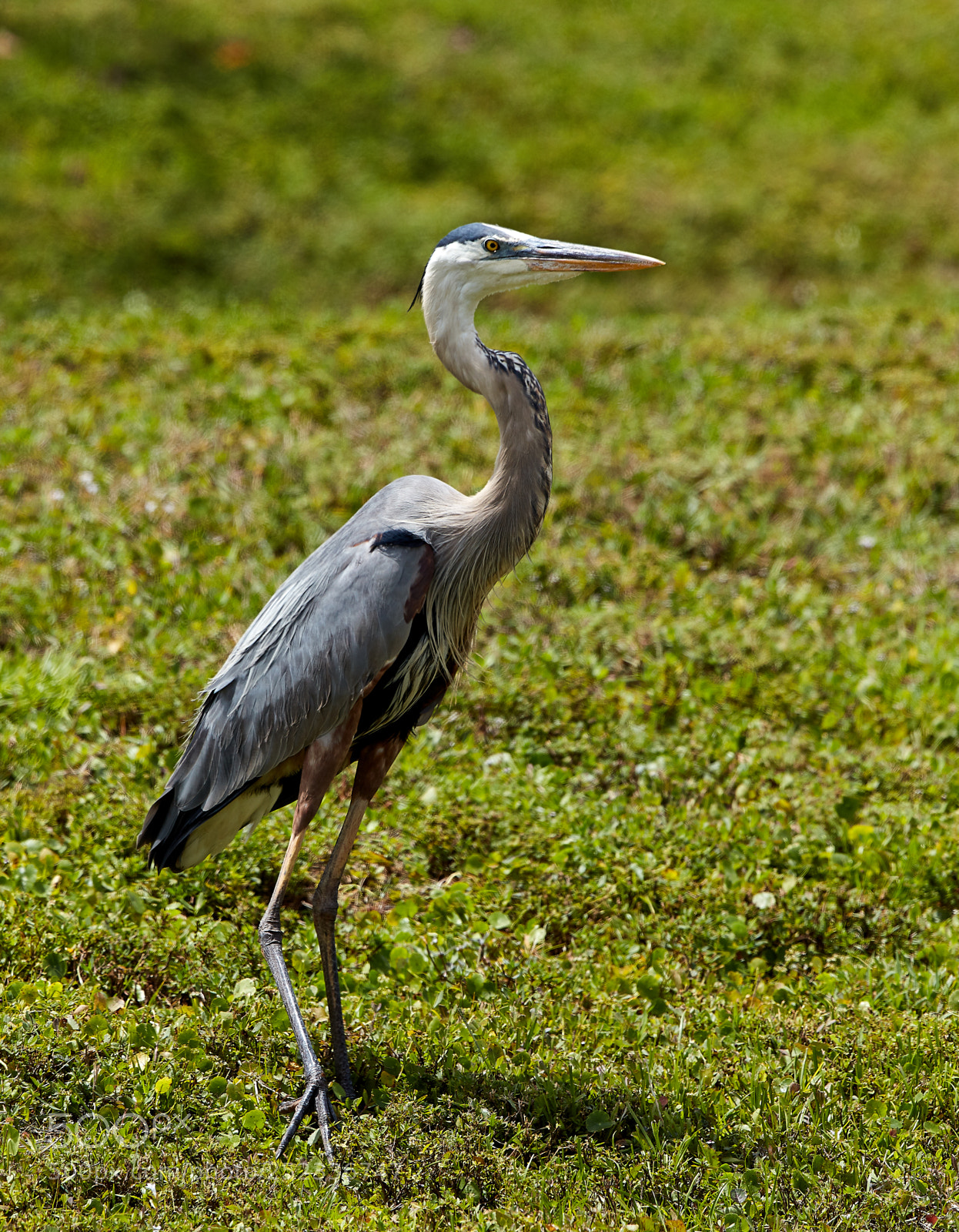 Canon EOS 5DS R sample photo. 04-05-18-0010647.jpg photography