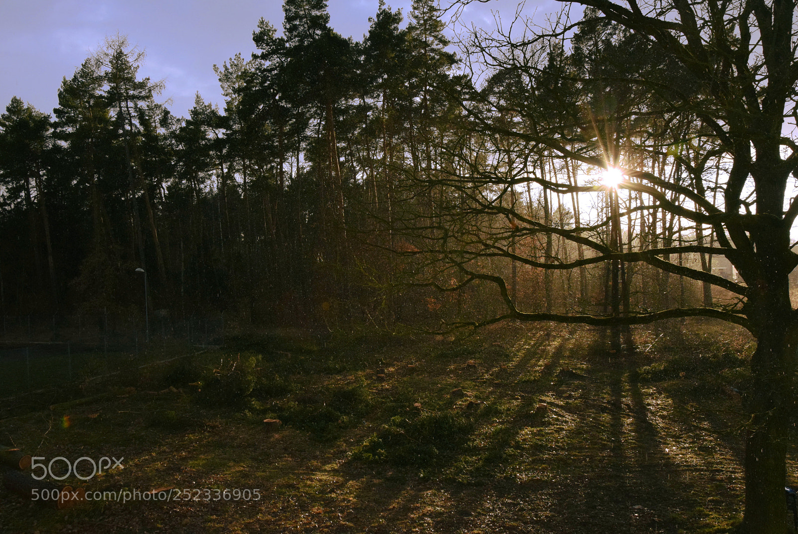 Nikon D5300 sample photo. Sunset photography