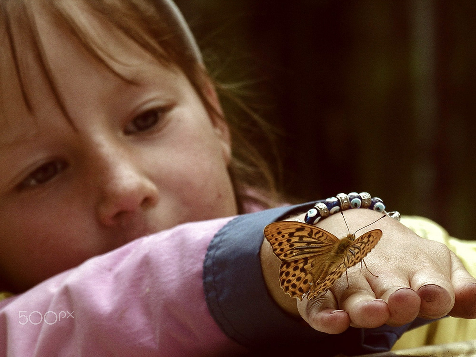 Nikon E8800 sample photo. In the forest photography