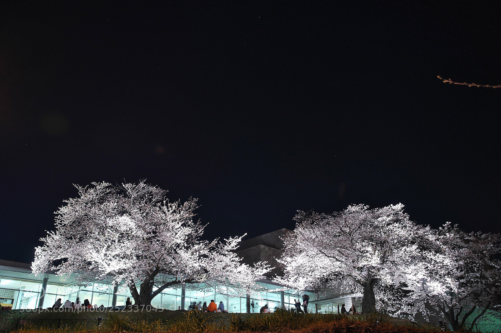 Sony SLT-A99V sample photo. Untitled photography