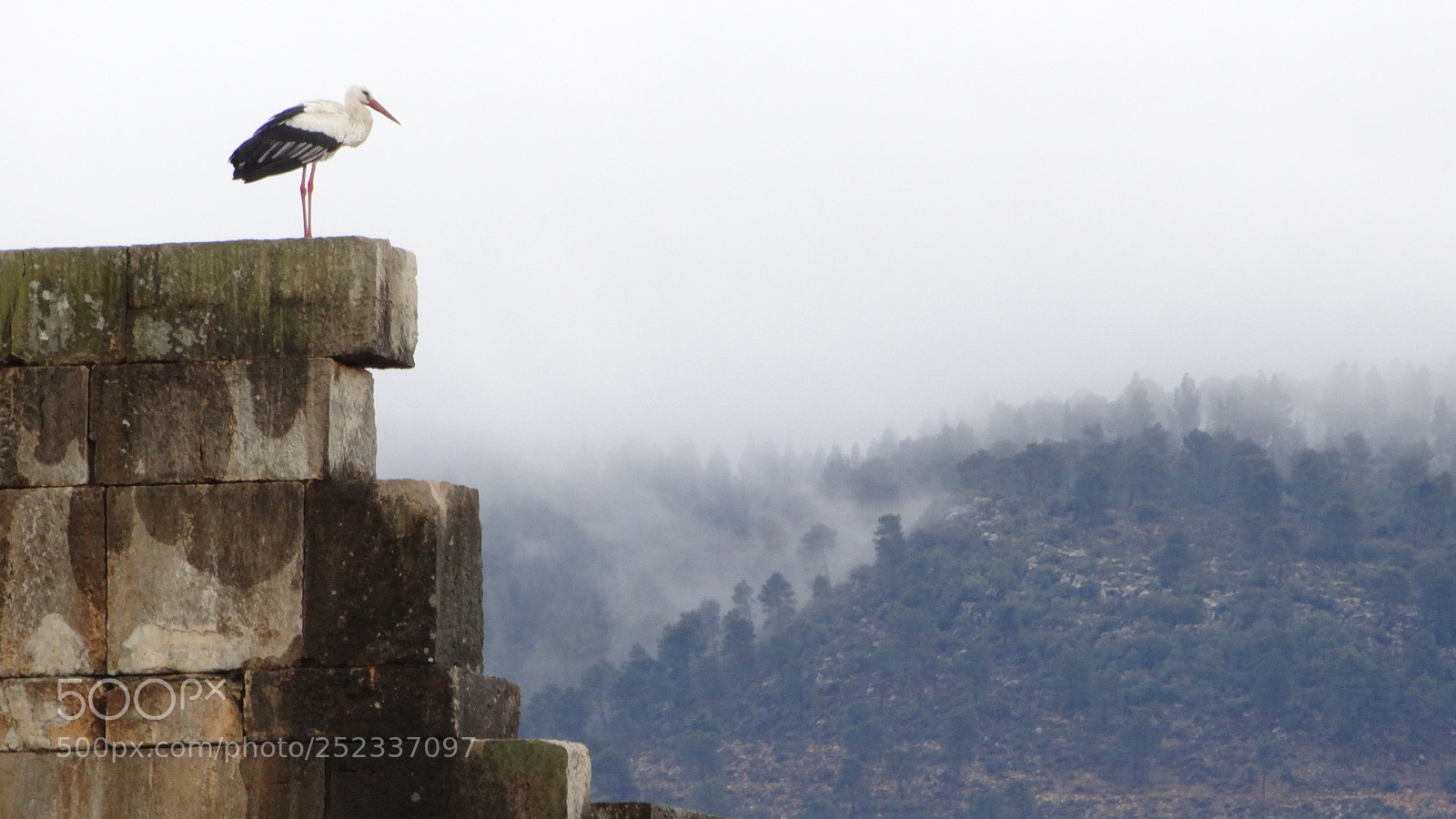 Sony Cyber-shot DSC-HX300 sample photo. Ruines romanes de la photography