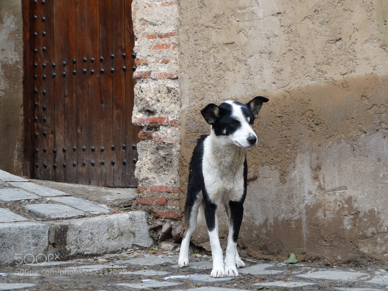 Sony Cyber-shot DSC-HX300 sample photo. Chaouen photography