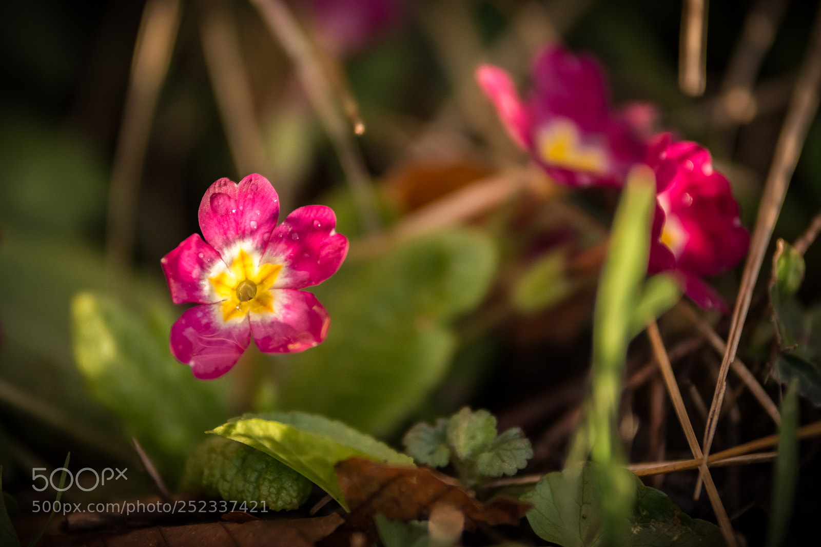 Nikon D7200 sample photo. Little sunshine photography