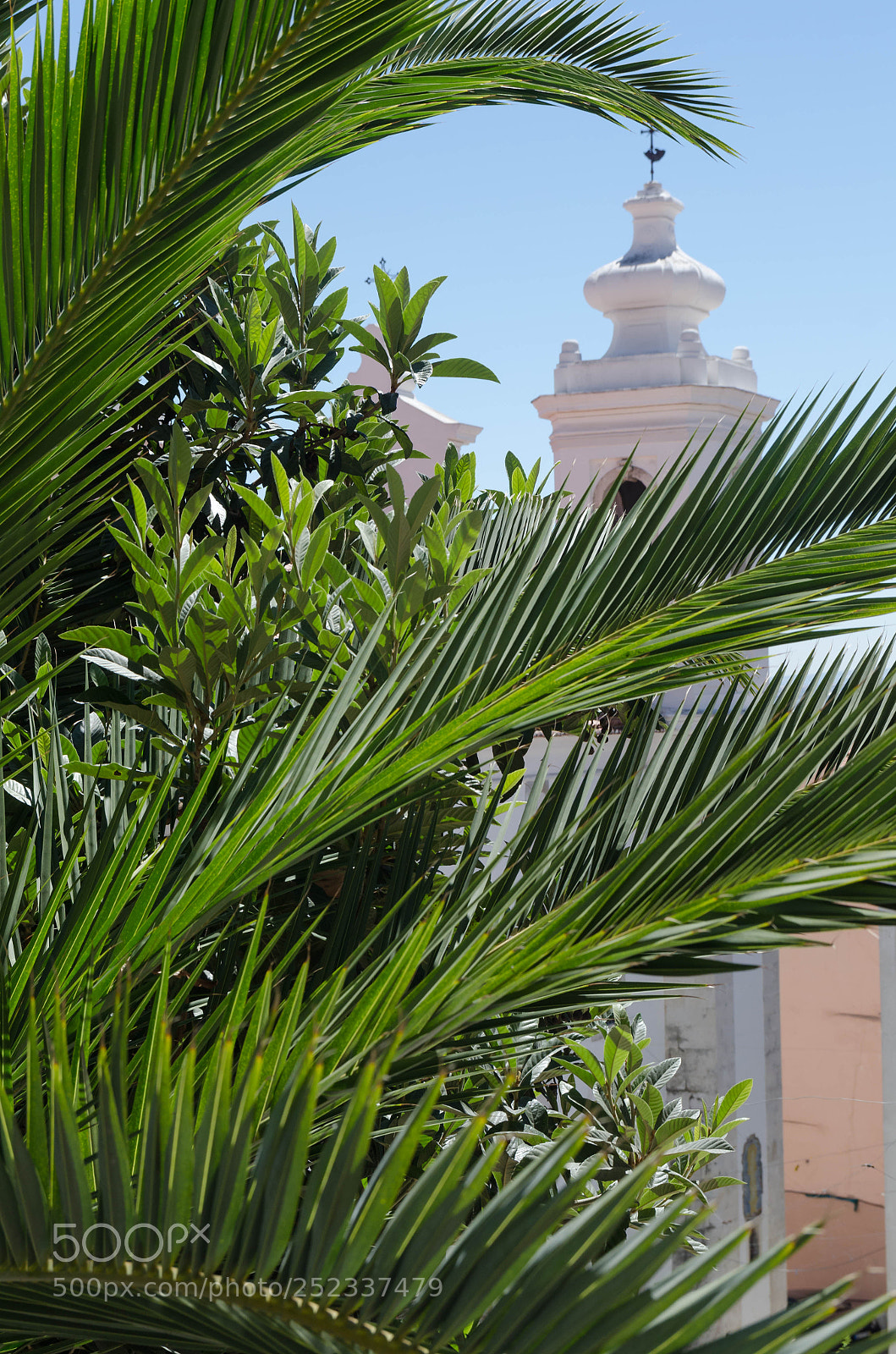 Nikon D7000 sample photo. A summer in lisbon photography