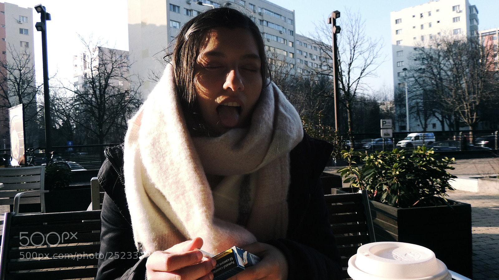 Nikon Coolpix P510 sample photo. Bb4 photography