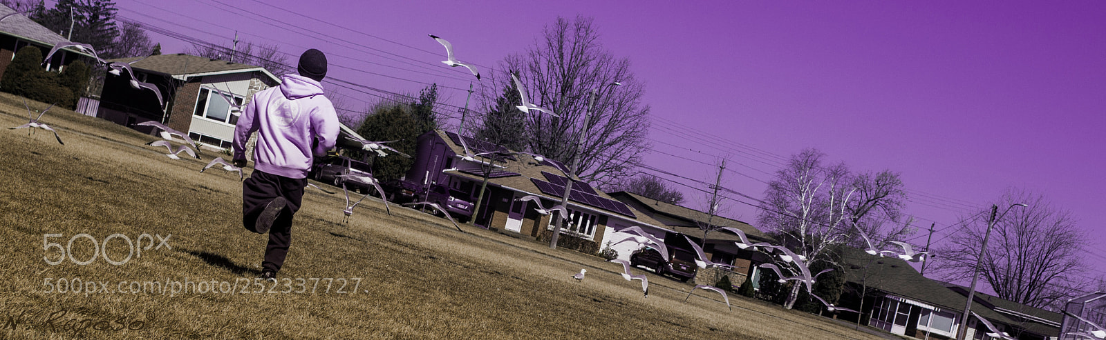 Nikon D3100 sample photo. Digital manipulation photography