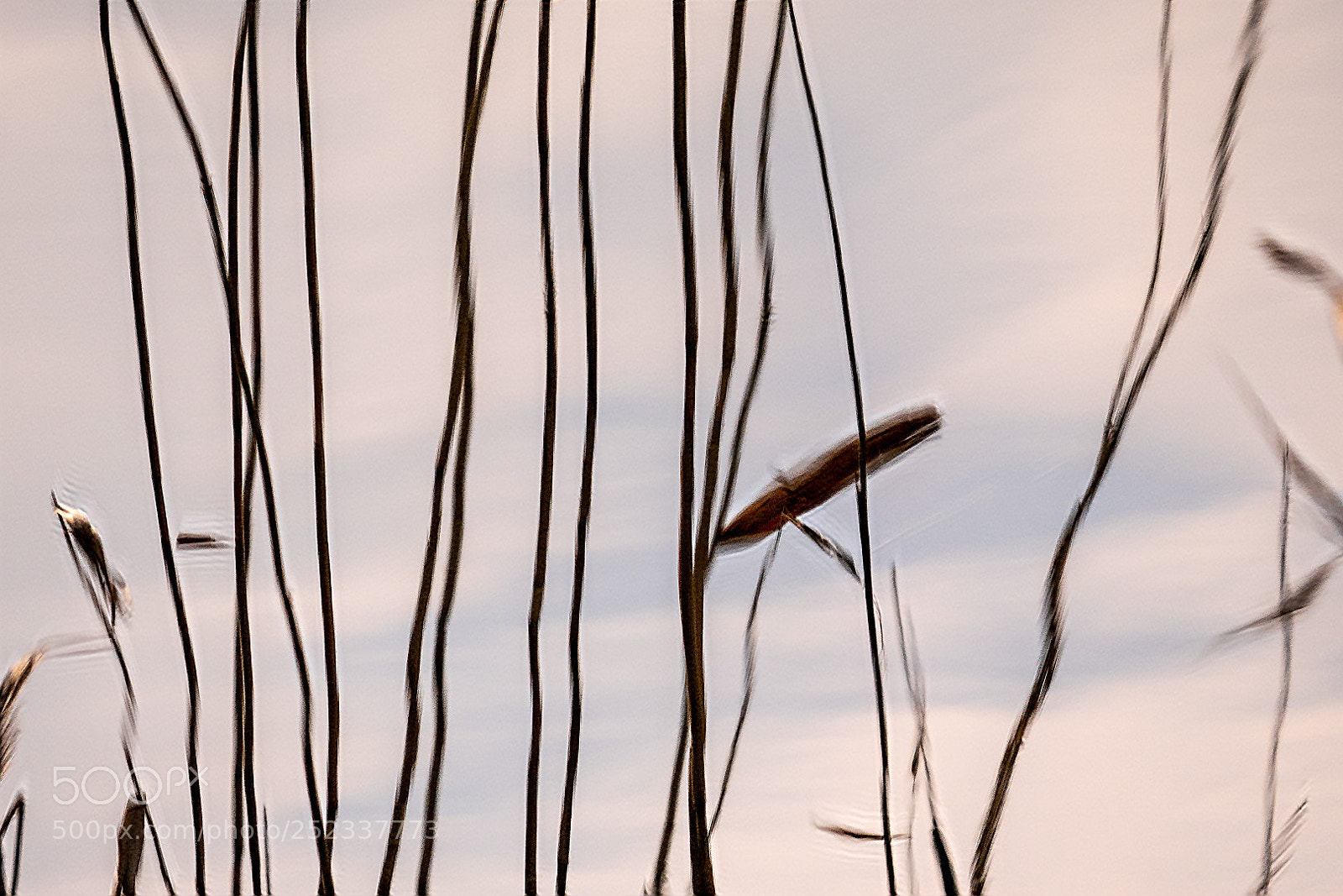 Panasonic Lumix DMC-GX85 (Lumix DMC-GX80 / Lumix DMC-GX7 Mark II) sample photo. Redigera (large) photography