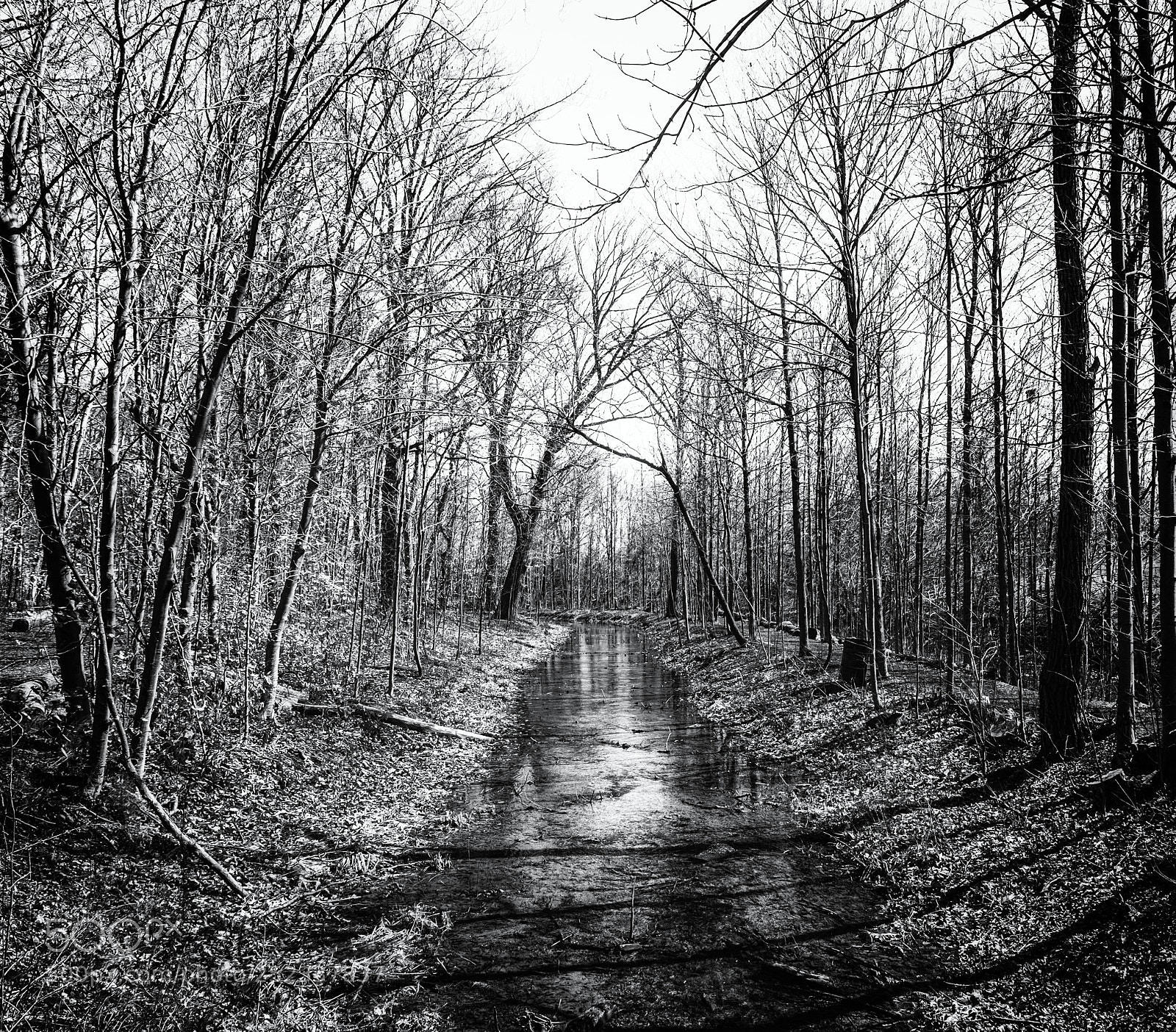 Fujifilm X-E2 sample photo. Mill pond park-milton photography