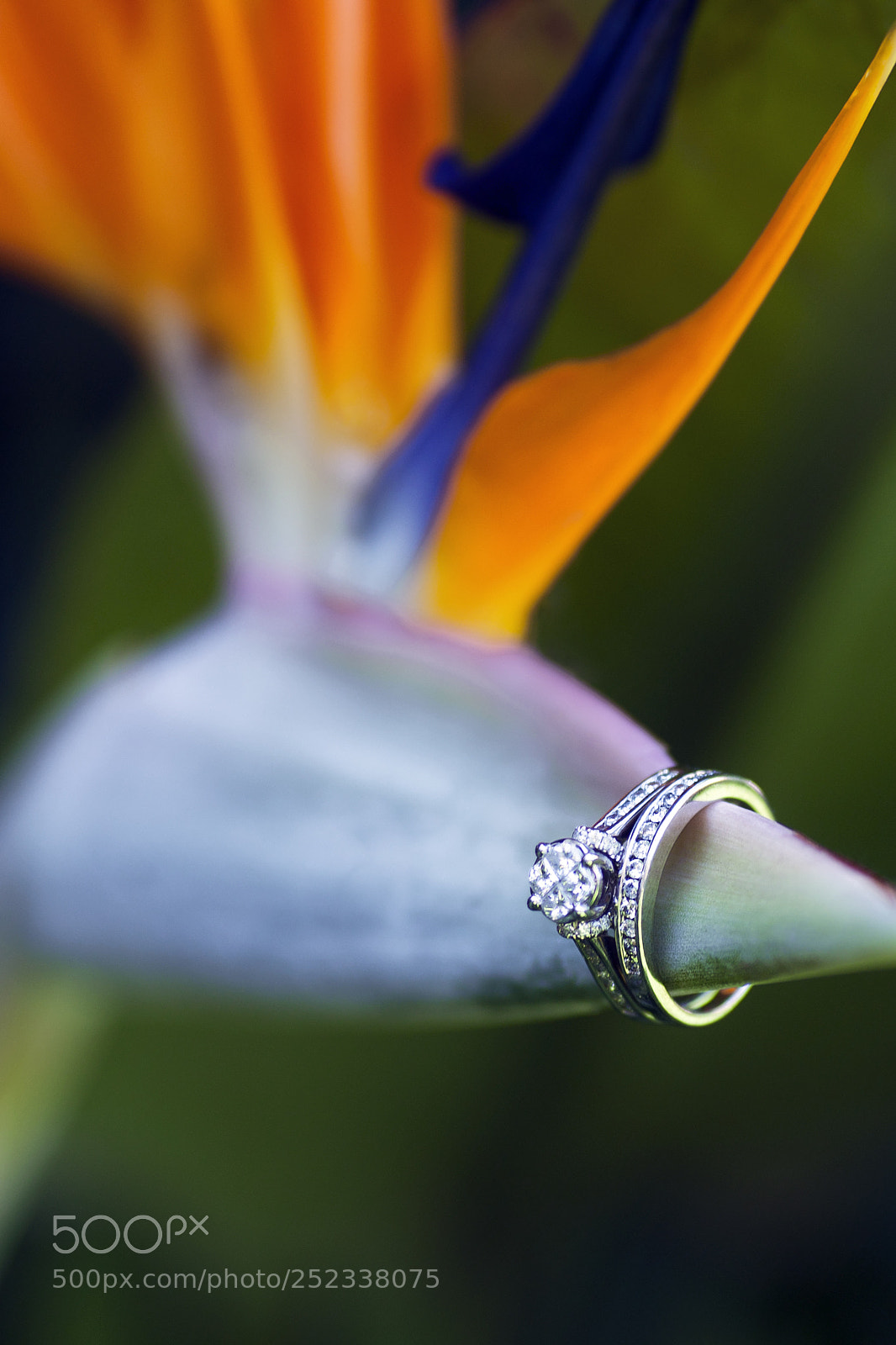 Canon EOS 5D Mark II sample photo. Detalles... boda maricarmen & cristian photography