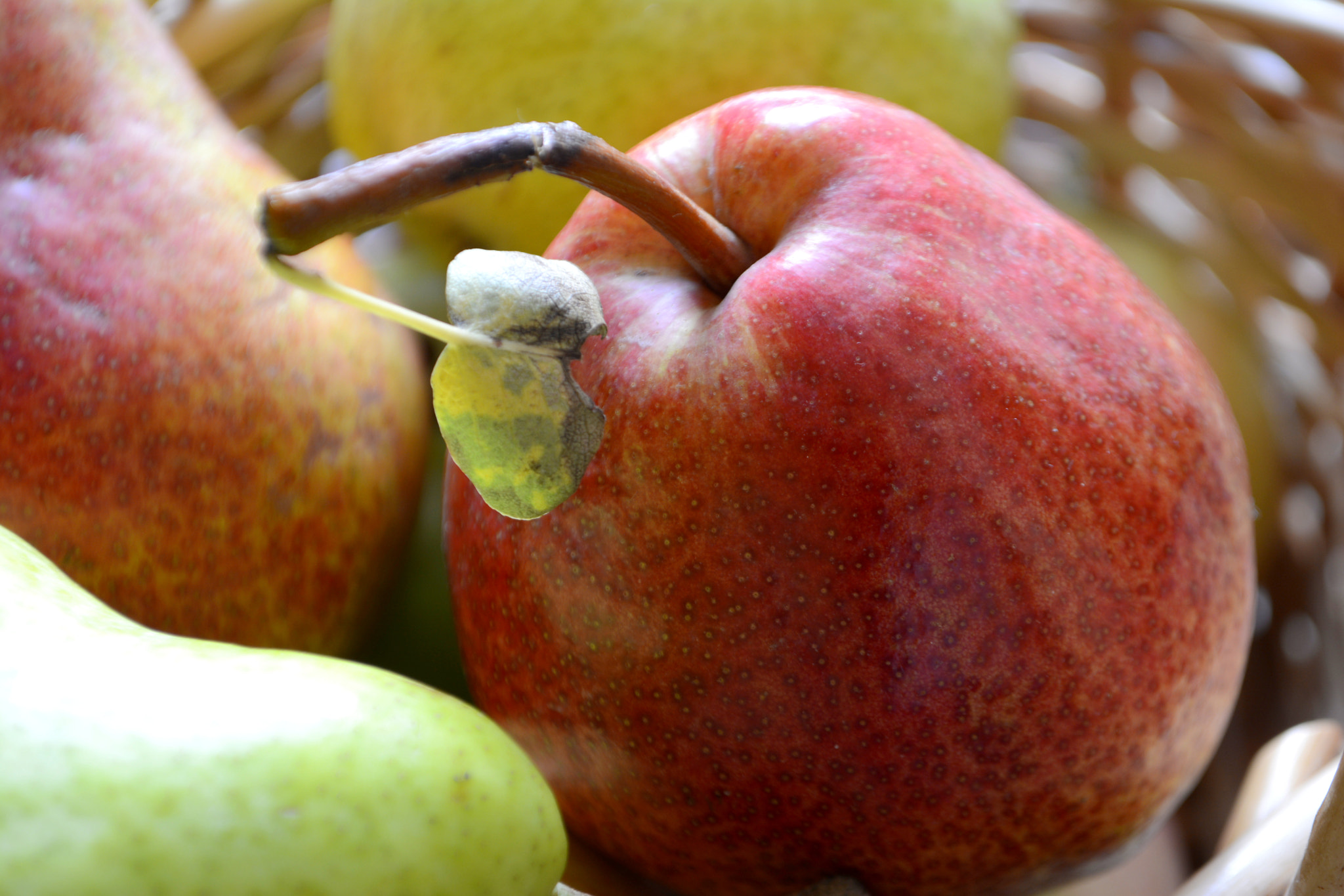 Nikon D7100 sample photo. Pears in the basket photography