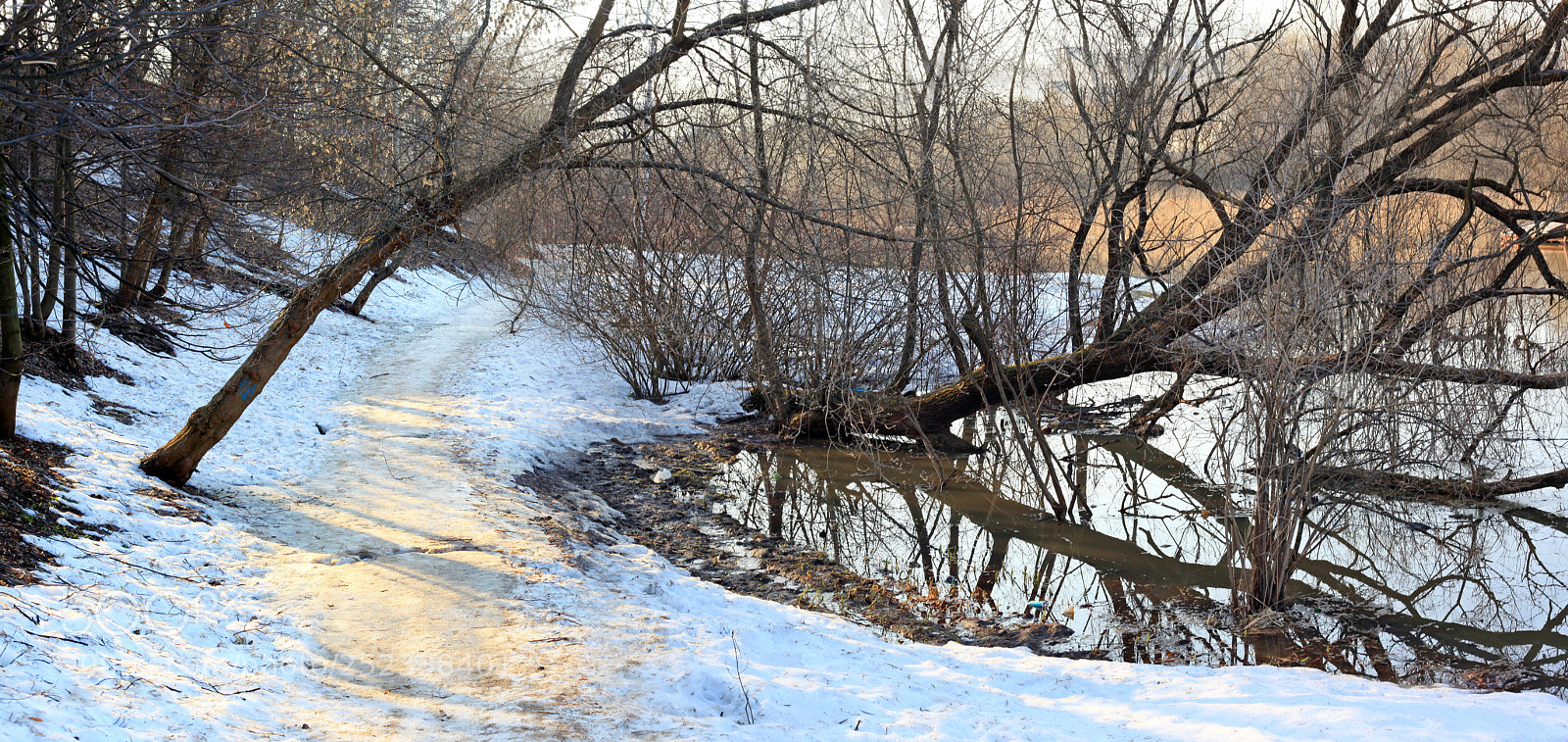 Canon EOS 5D Mark II sample photo. Оттепель photography