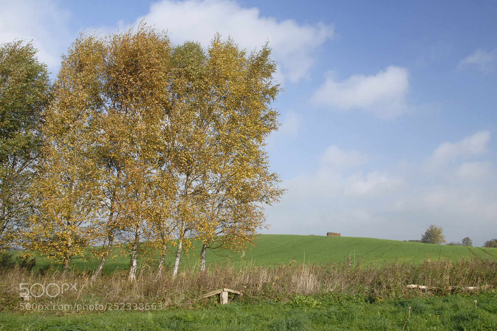 Nikon D200 sample photo. Fesh fields photography
