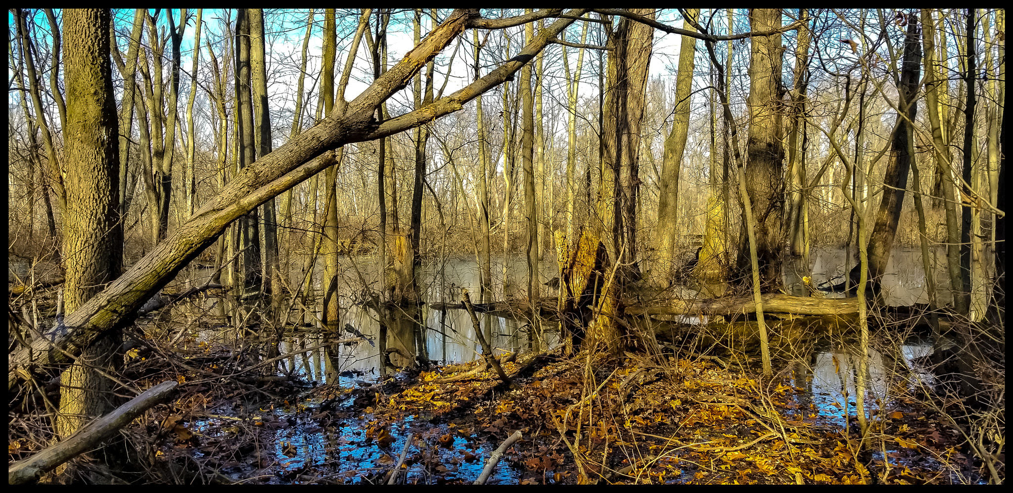 Samsung Galaxy S8 Active sample photo