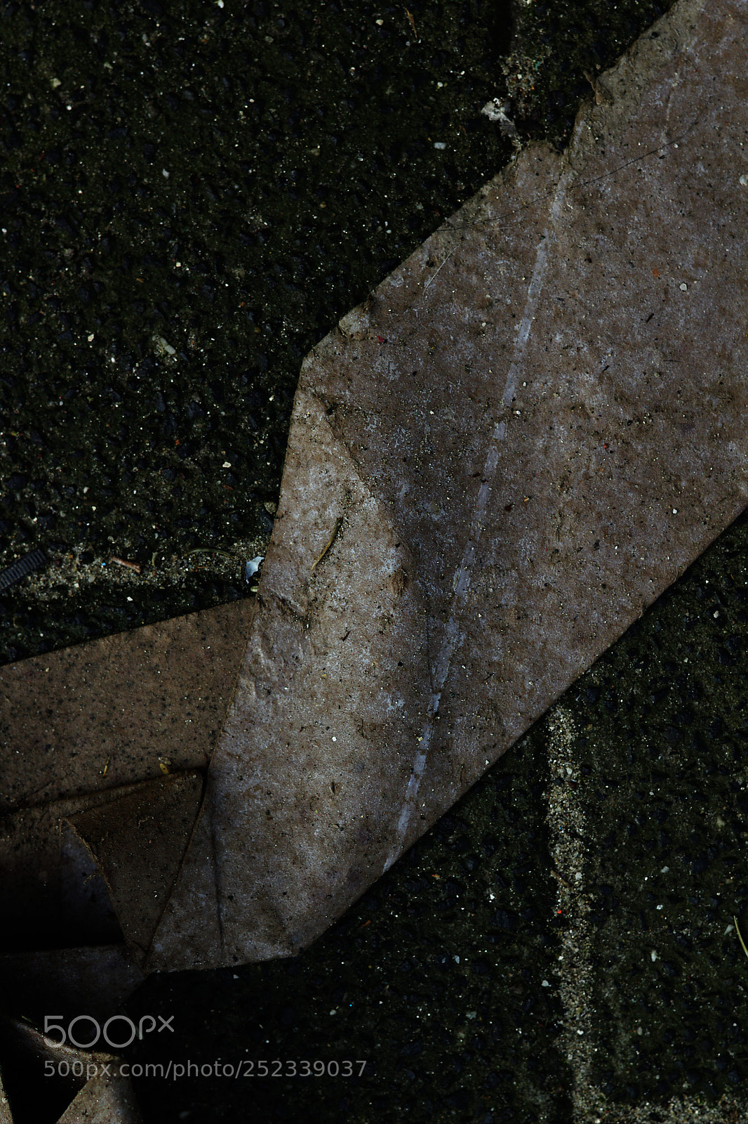 Canon EOS 550D (EOS Rebel T2i / EOS Kiss X4) + Canon EF 50mm F1.8 II sample photo. Drowning cardboard viii photography