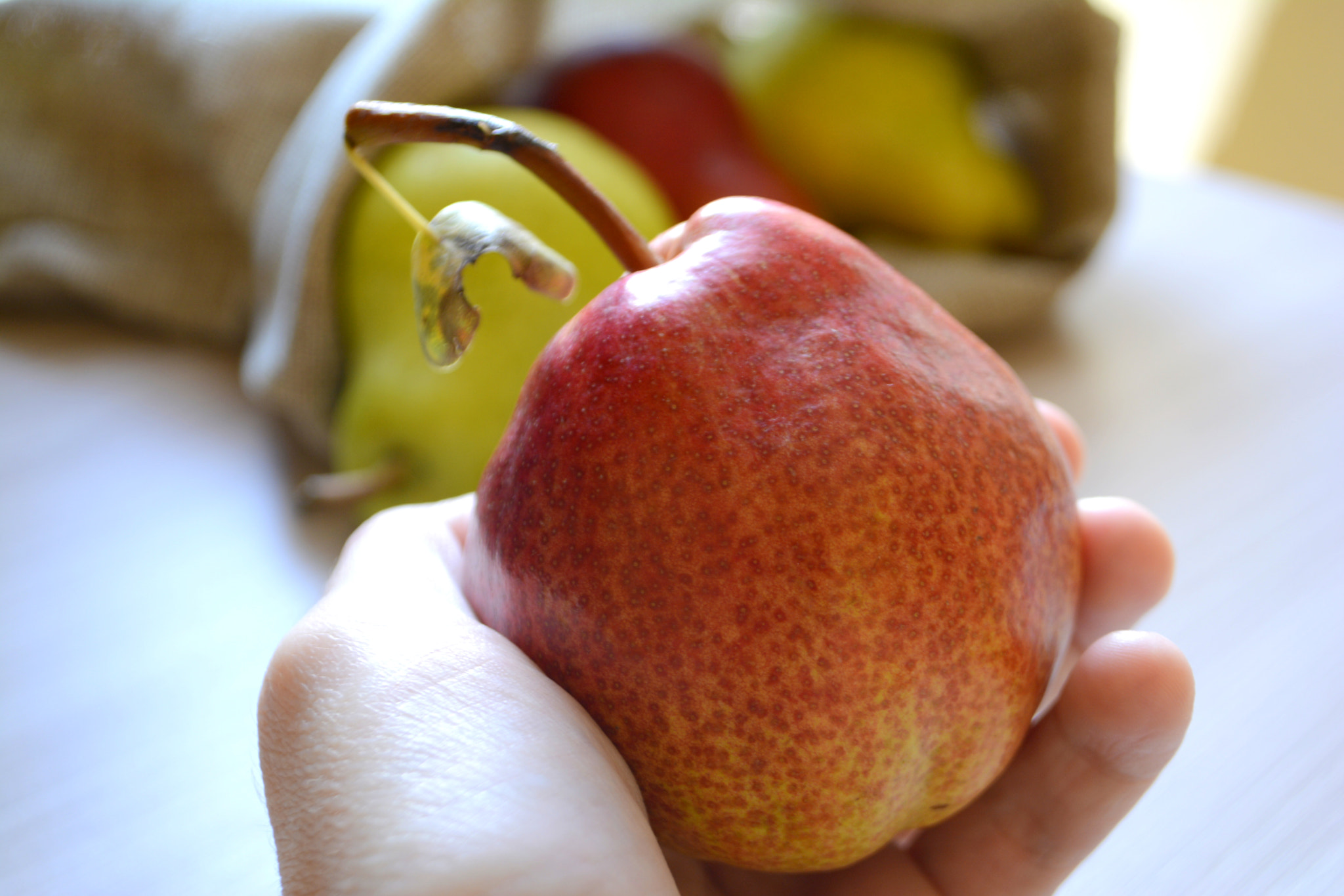 Nikon D7100 sample photo. Pear in hand photography