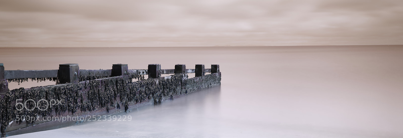 Fujifilm GFX 50S sample photo. Groyne photography