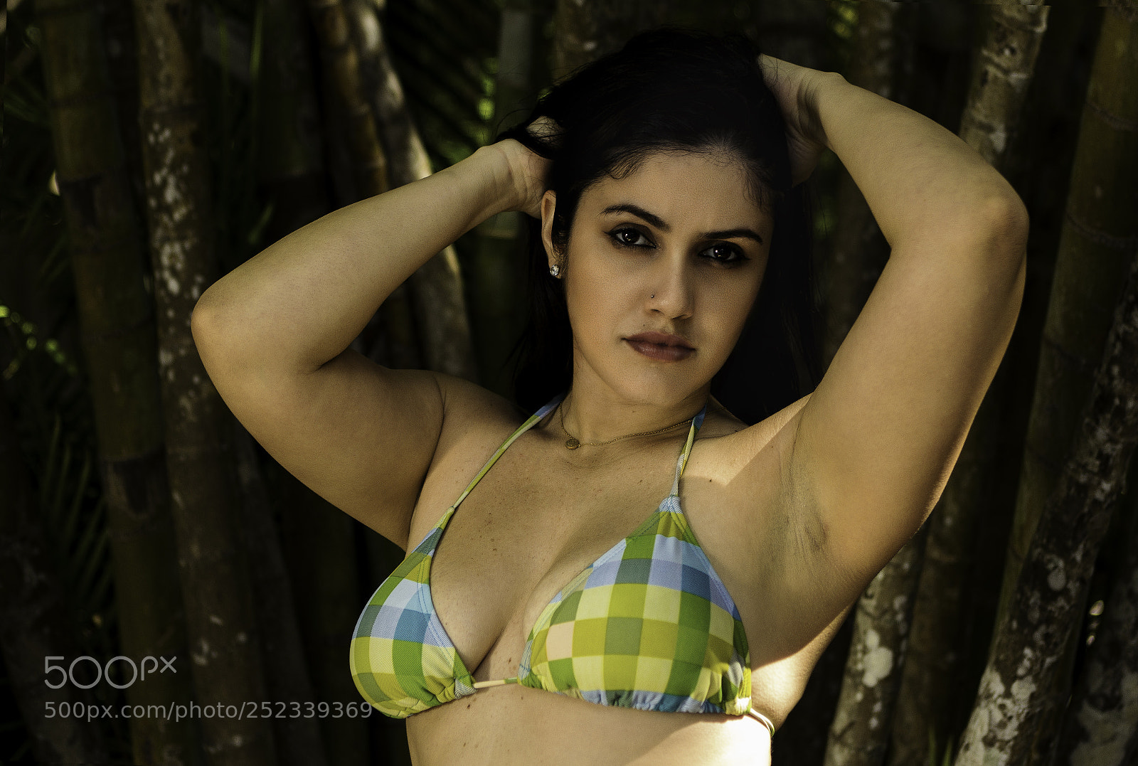 Canon EOS 60D sample photo. Cataleya photography