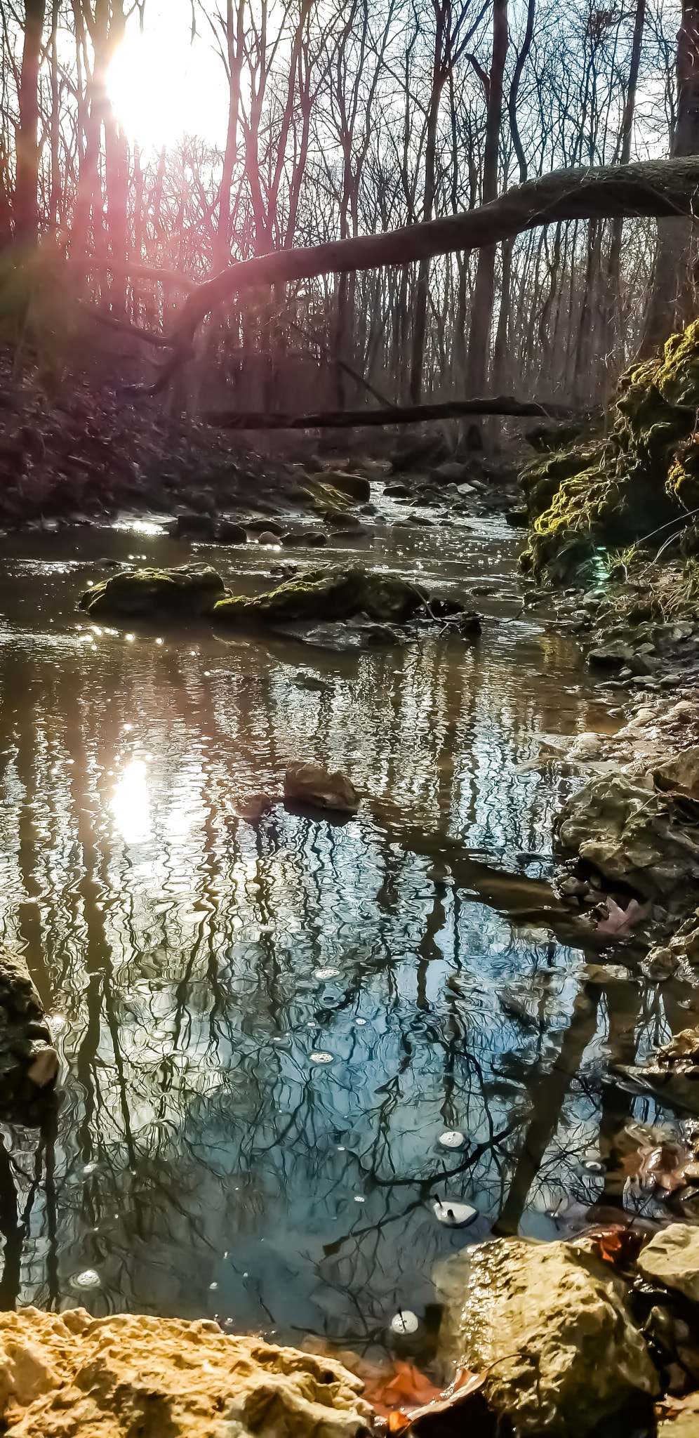 Samsung Galaxy S8 Active sample photo