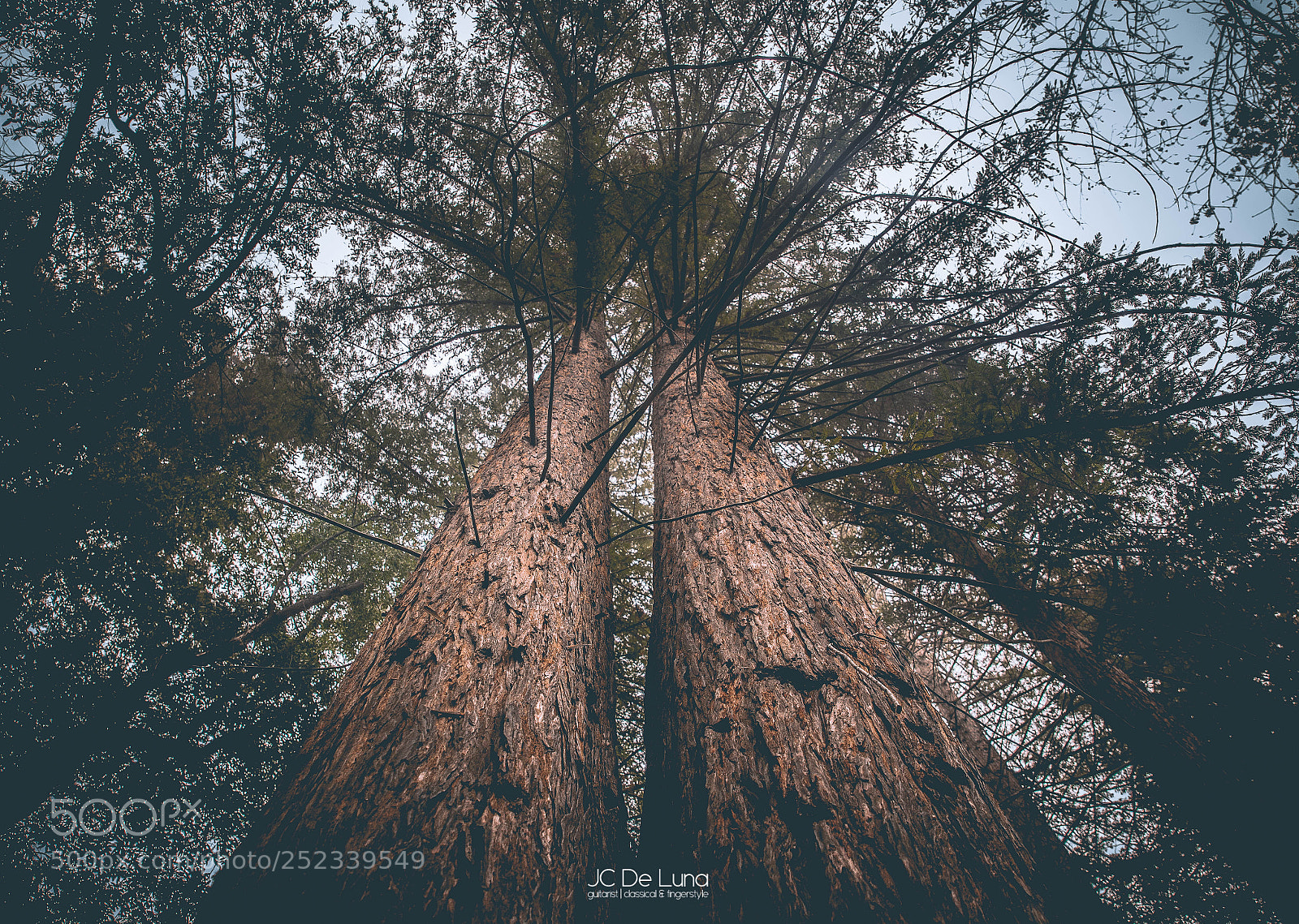 Canon EOS 5D Mark II sample photo. Santa barbara botanic garden photography