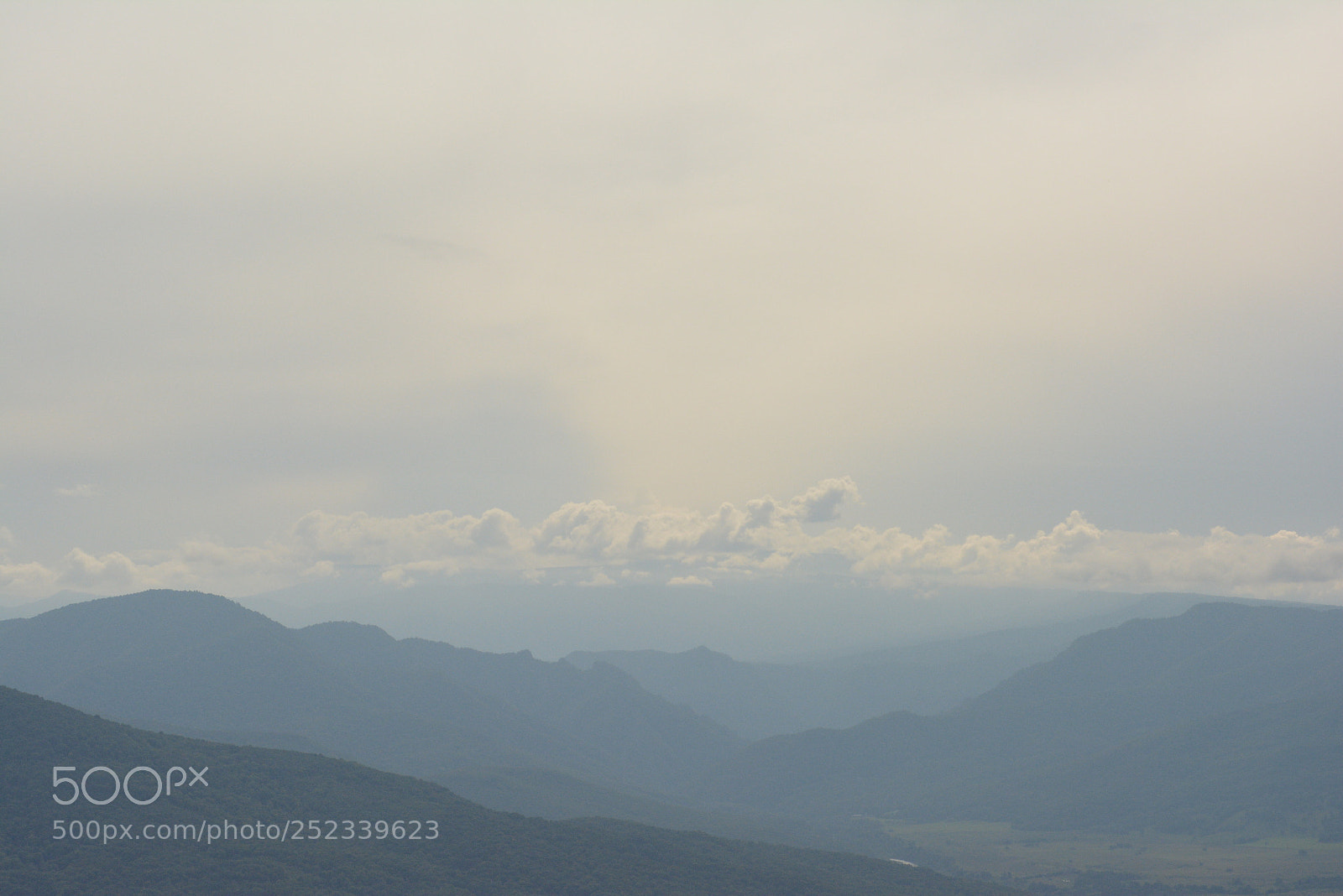 Nikon D5200 sample photo. Untitled photography