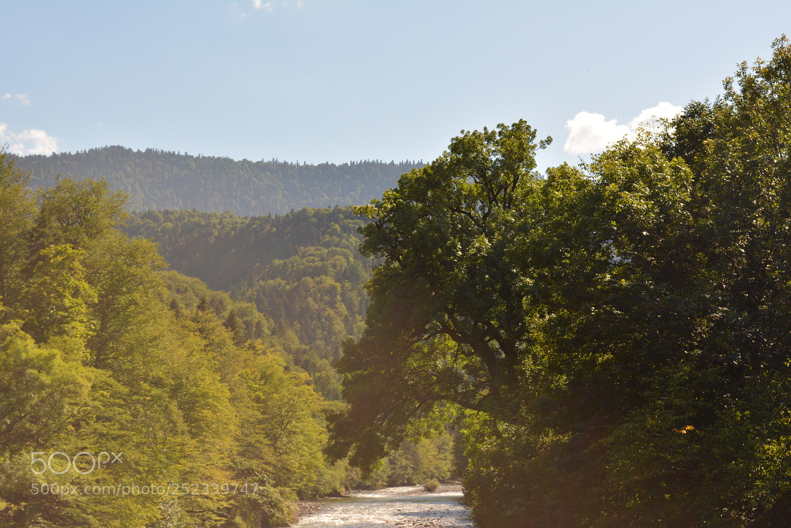 Nikon D5200 sample photo. Untitled photography