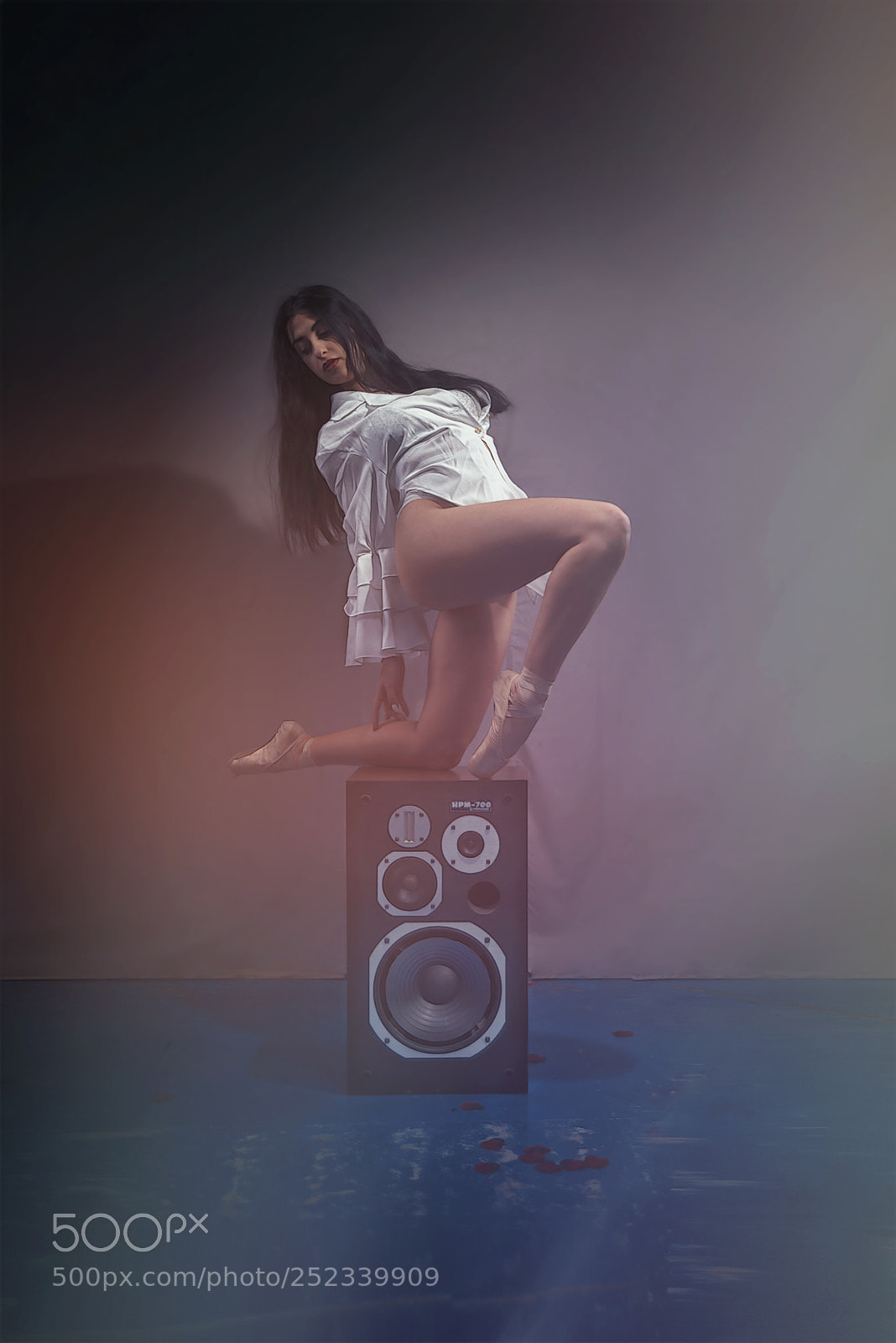Nikon D600 sample photo. Ballerina project photography