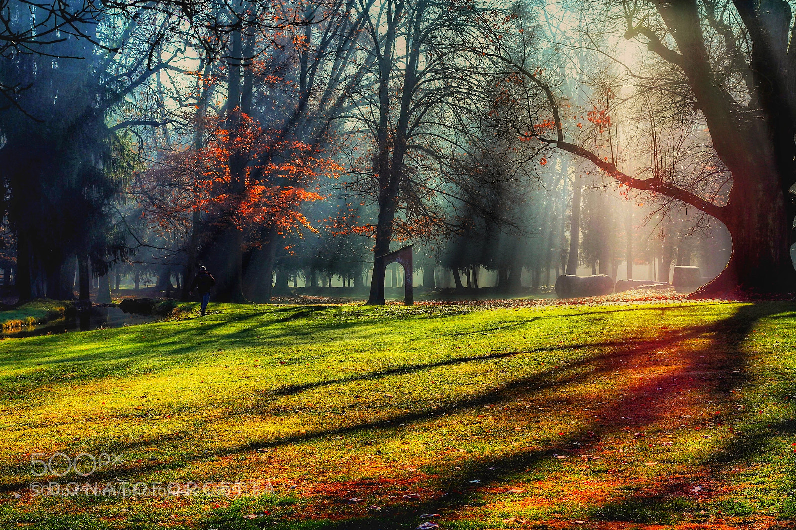 Canon EOS 7D sample photo. Tra luci e ombre photography