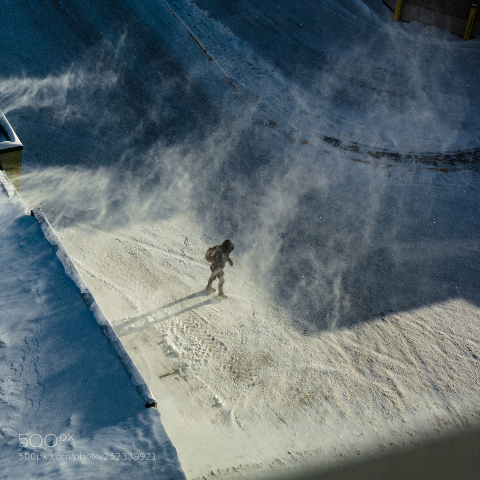 Nikon D7100 sample photo. Cold winter walk photography