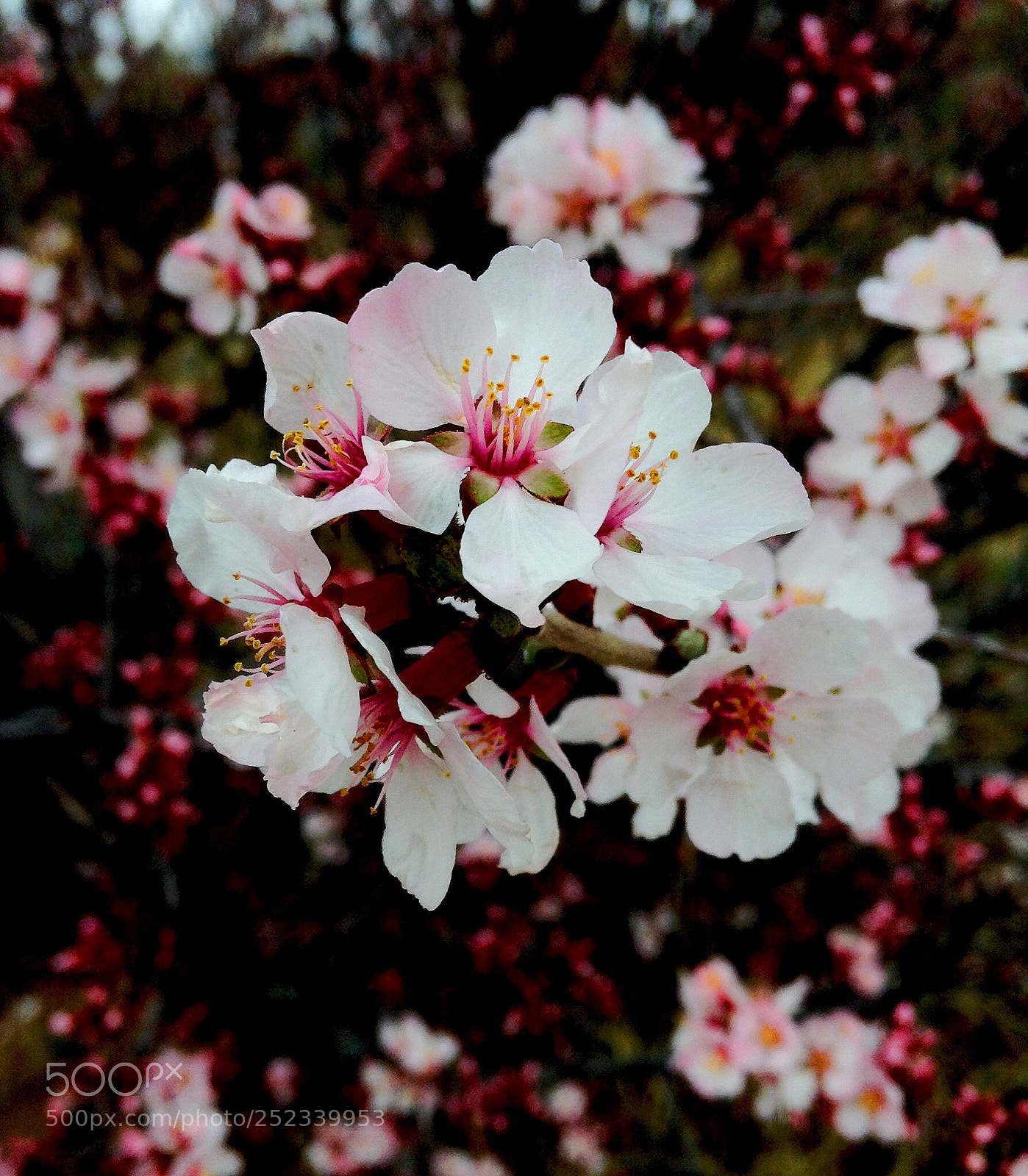 Apple iPod touch sample photo. New life photography