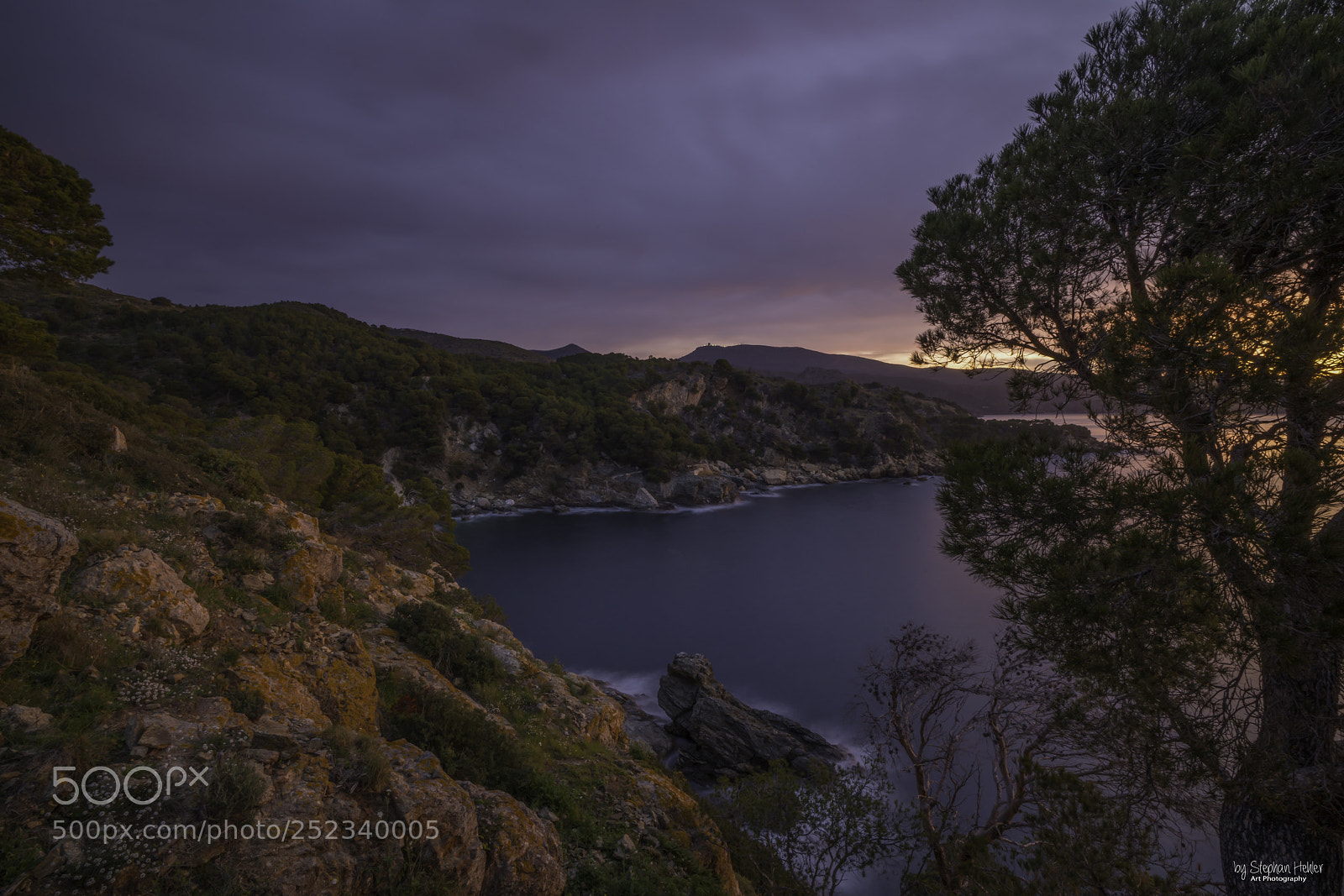 Sony a99 II sample photo. Roses spanien photography