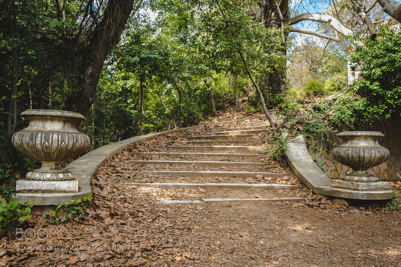 Nikon D7100 sample photo. Steps.. photography