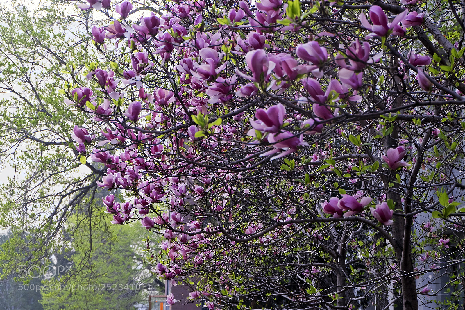 Fujifilm X-T10 sample photo. Untitled photography