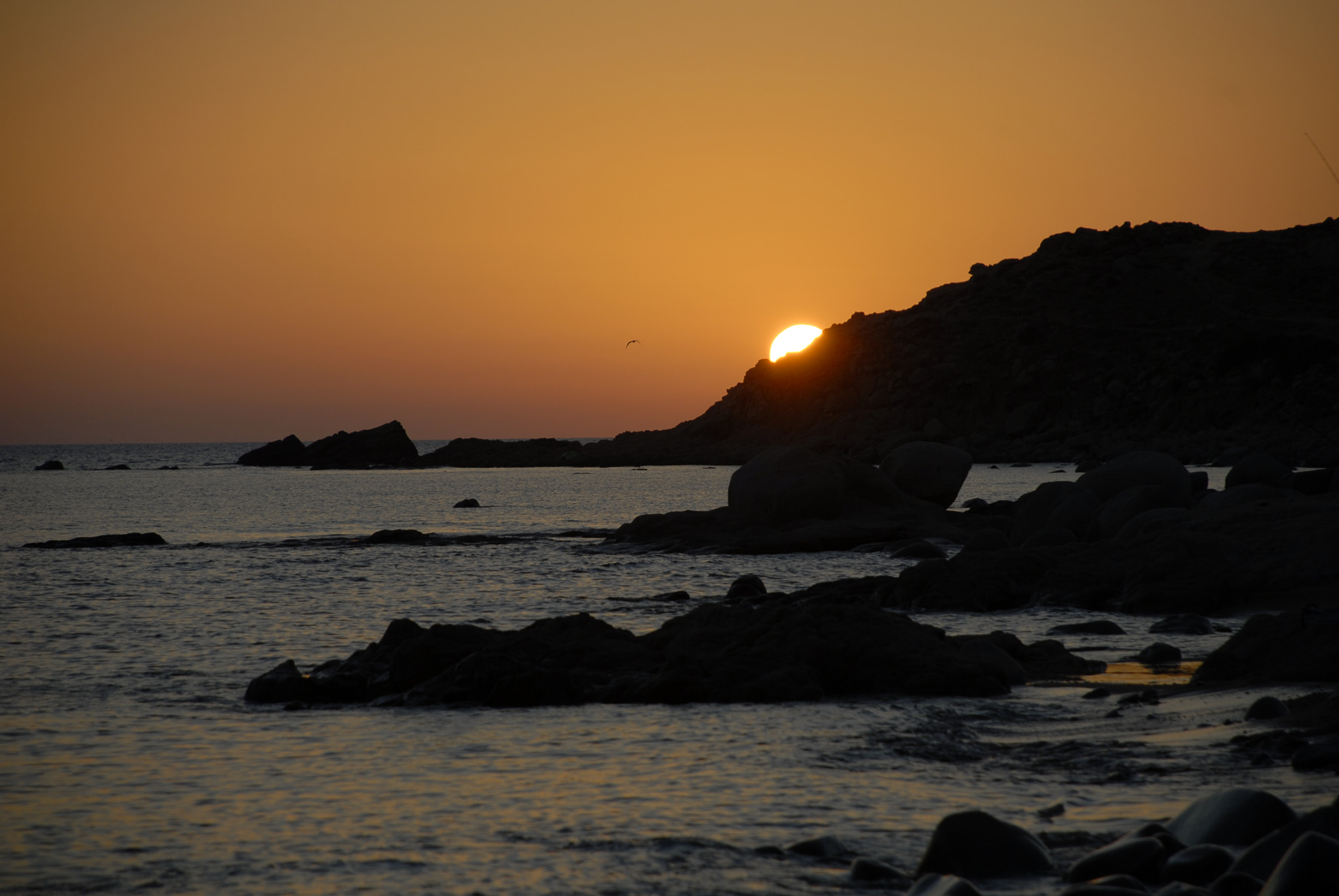 Nikon D200 sample photo. Goodbye sun photography